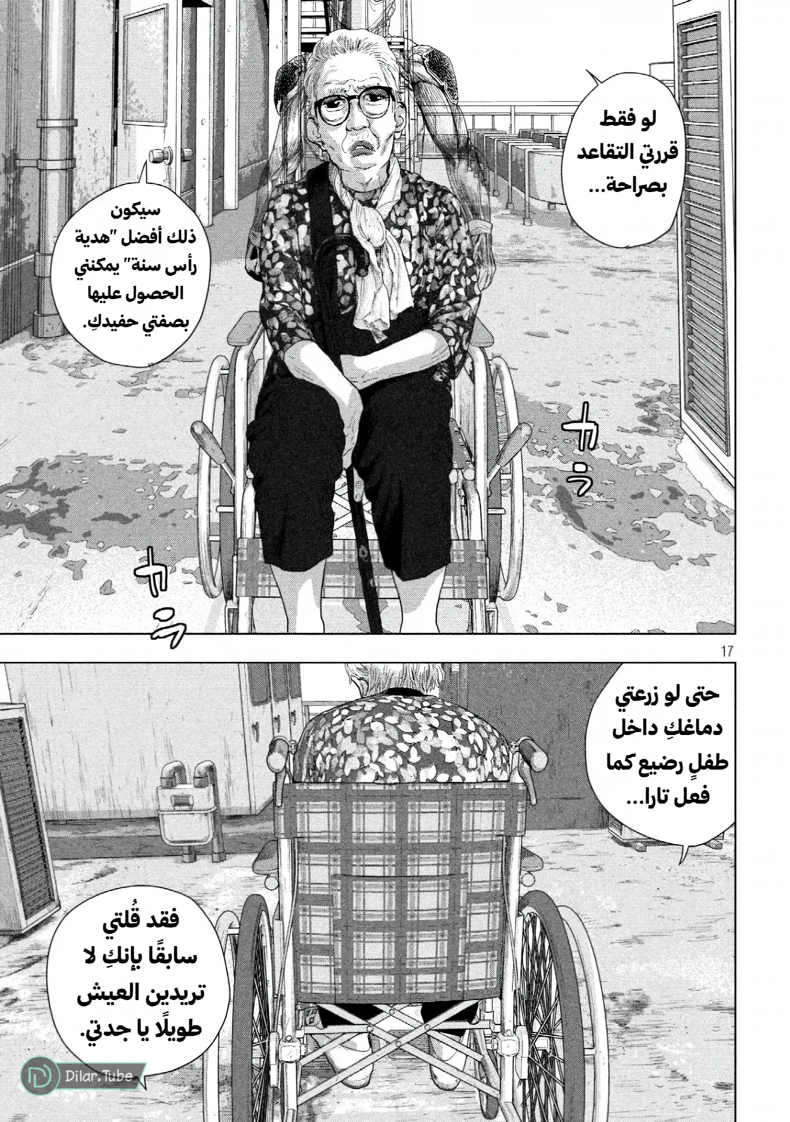 الصفحة 17