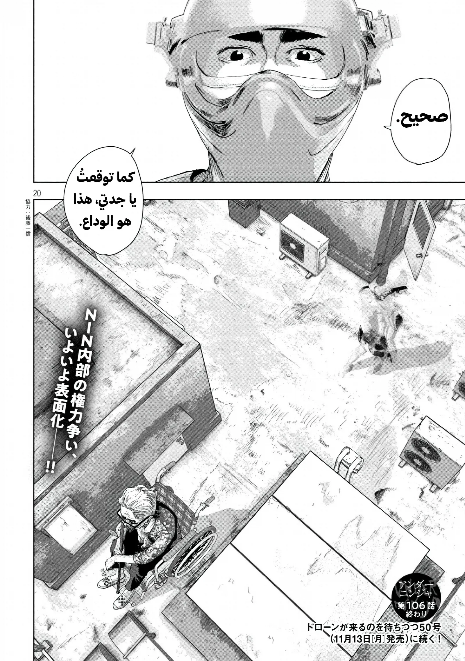 الصفحة 20