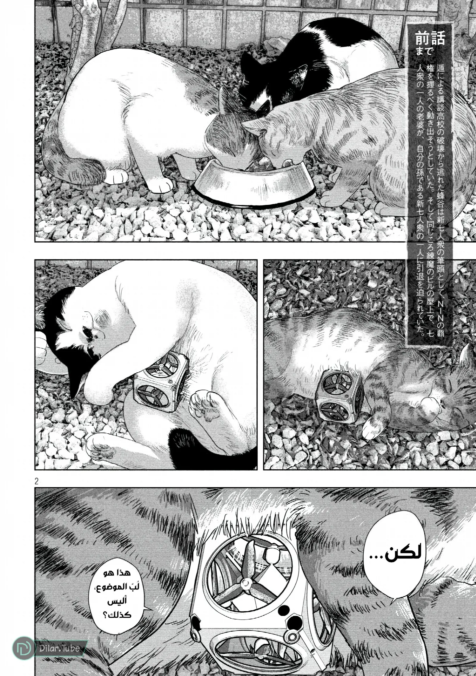 الصفحة 3