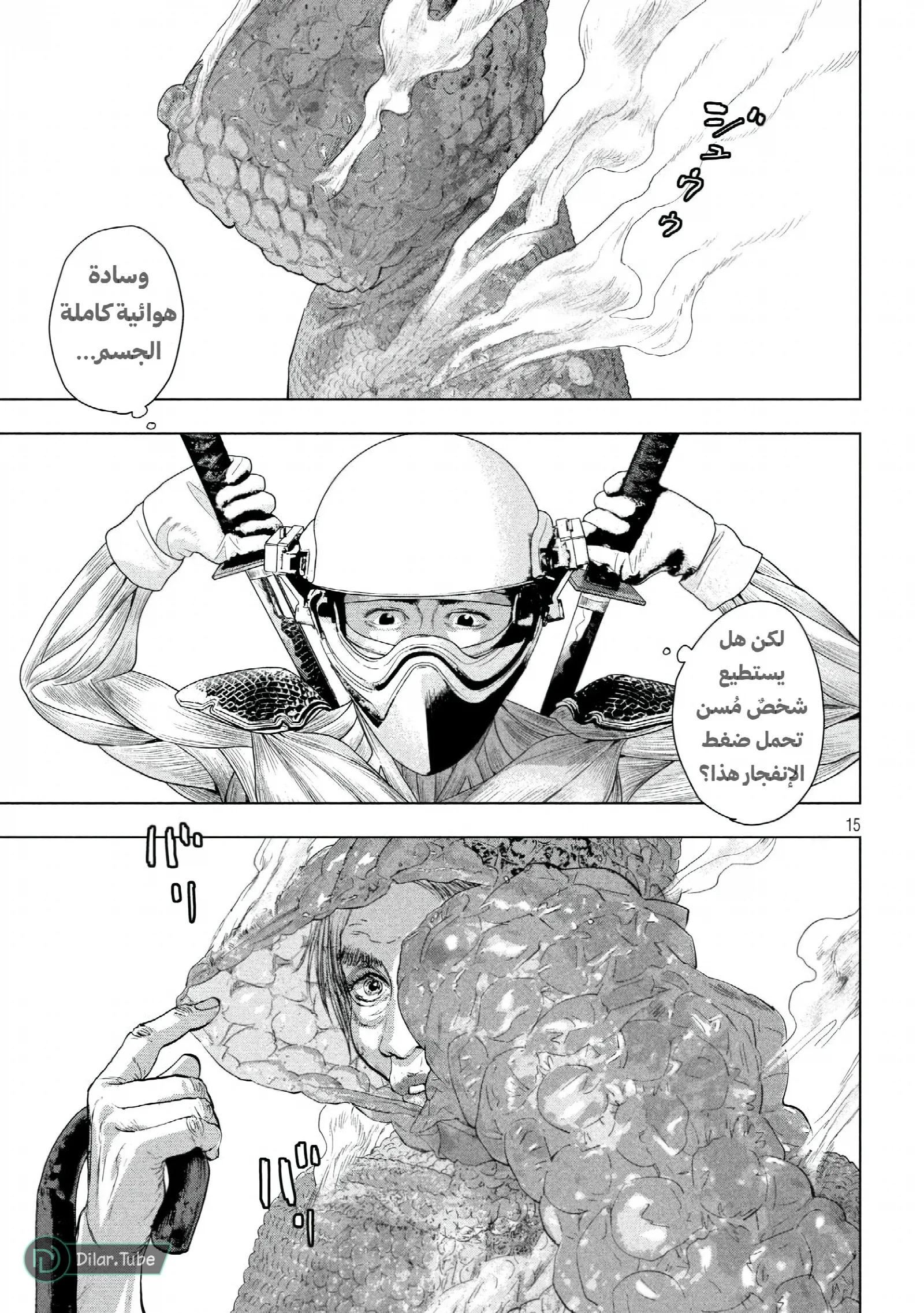 الصفحة 16