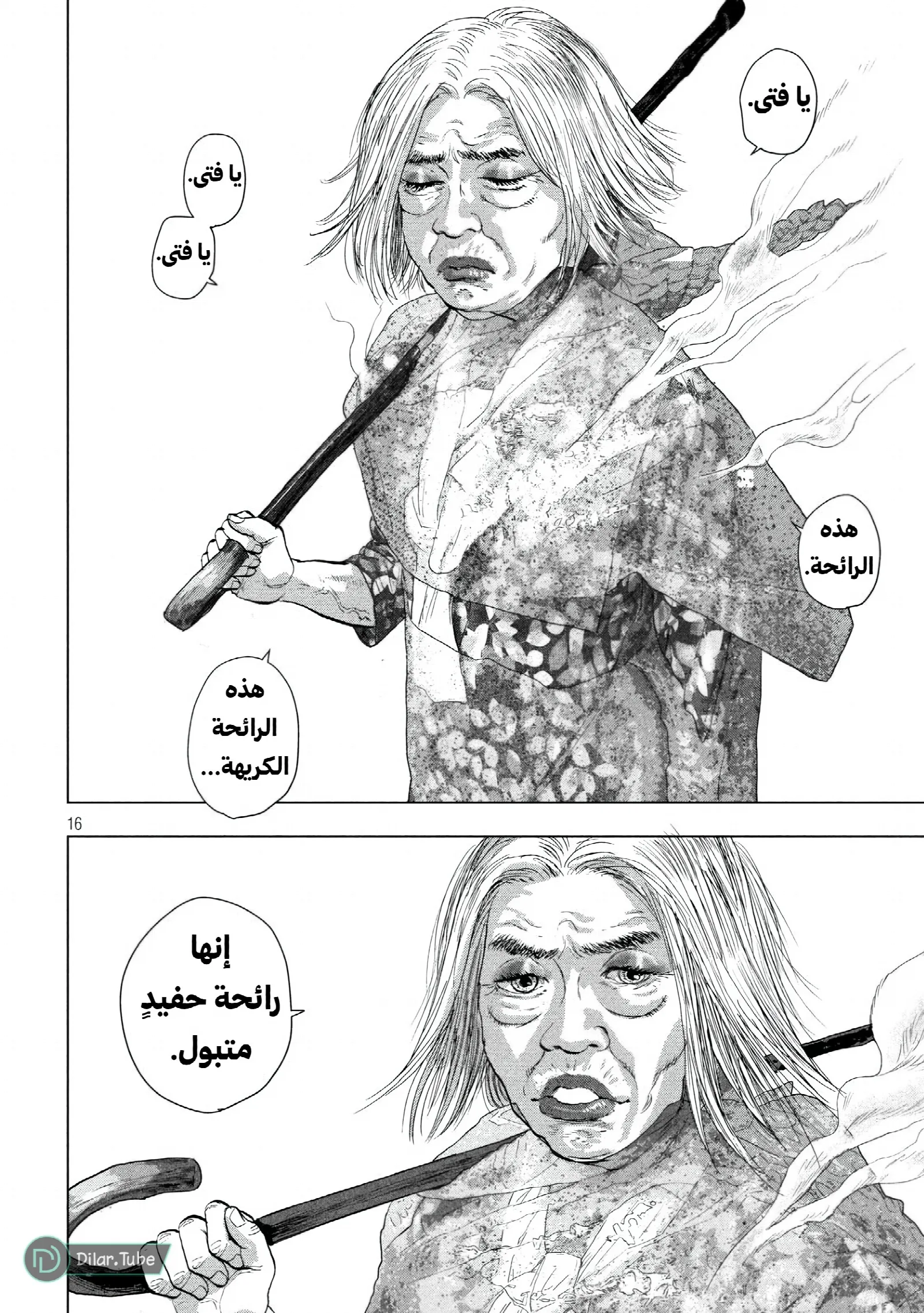الصفحة 17