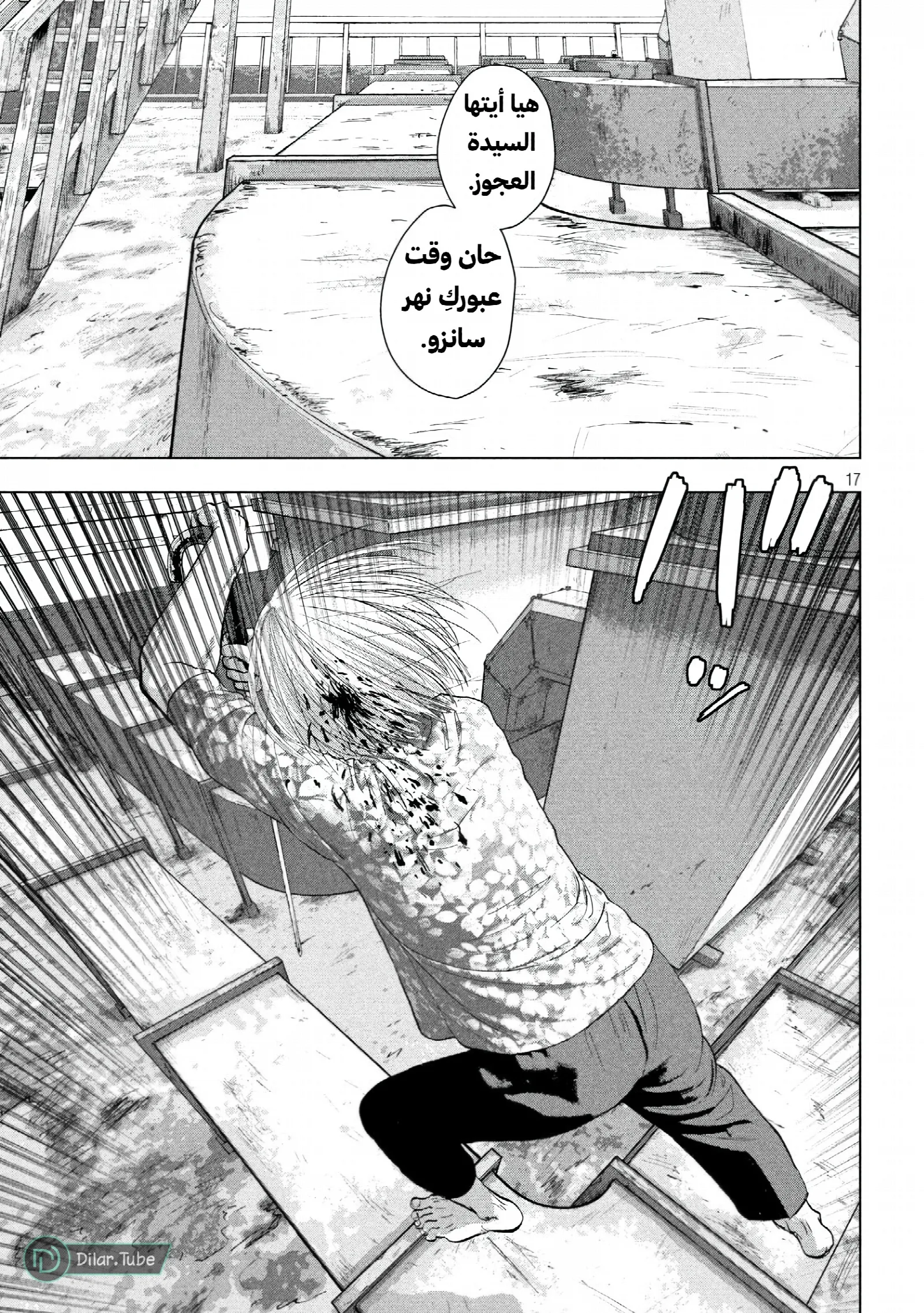 الصفحة 17