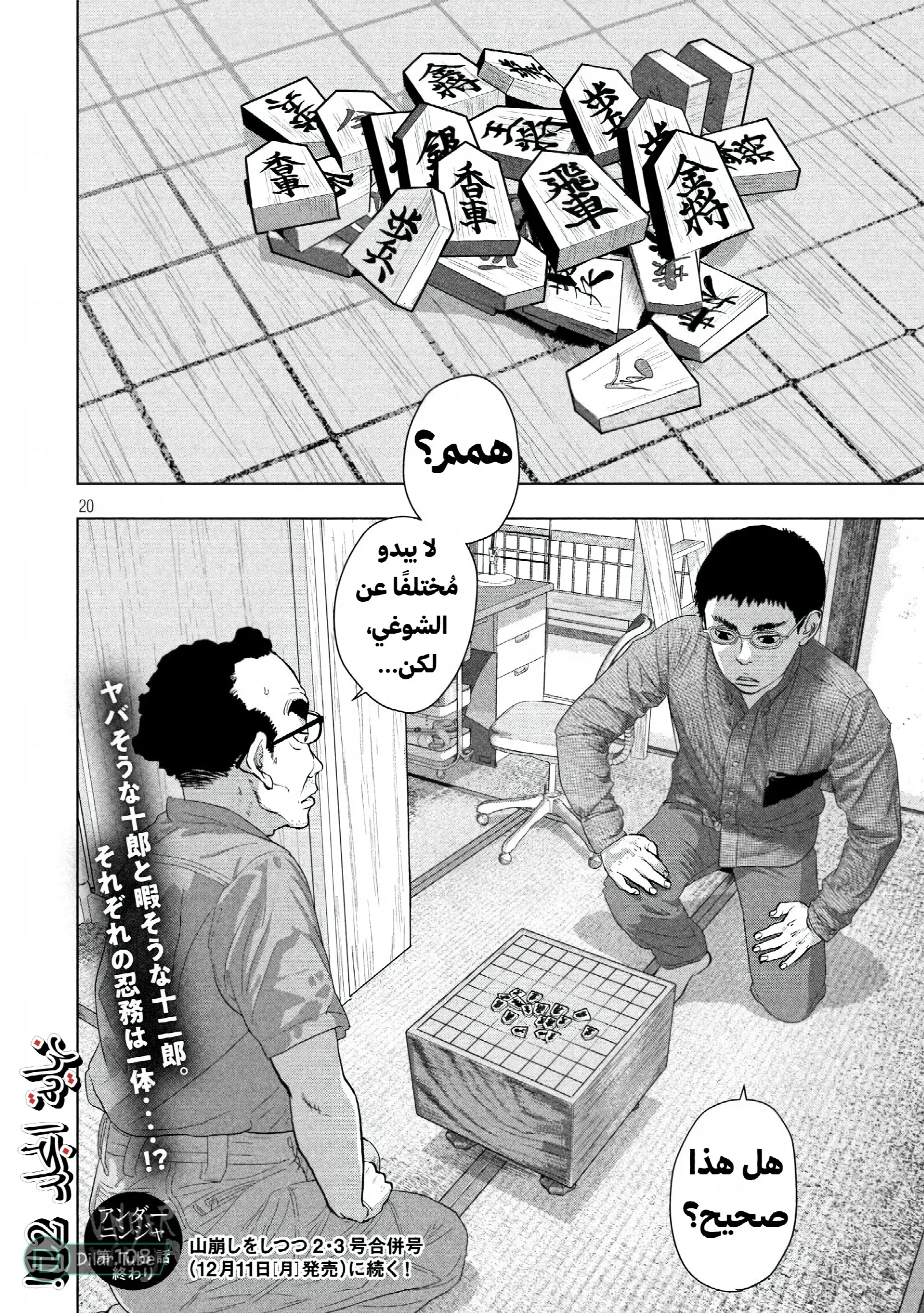 الصفحة 20