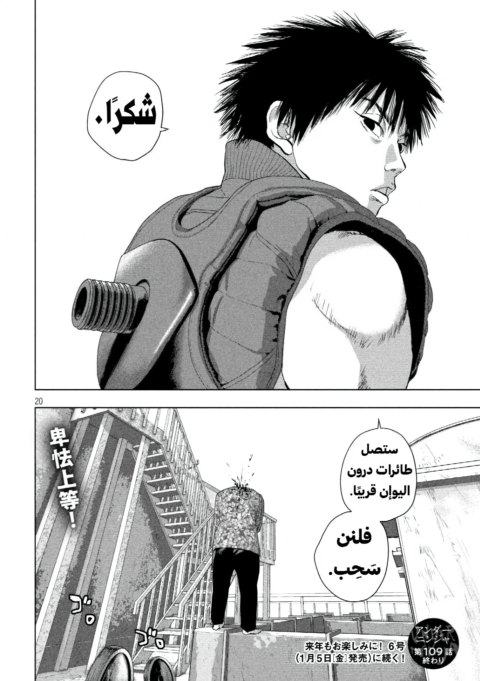 الصفحة 20