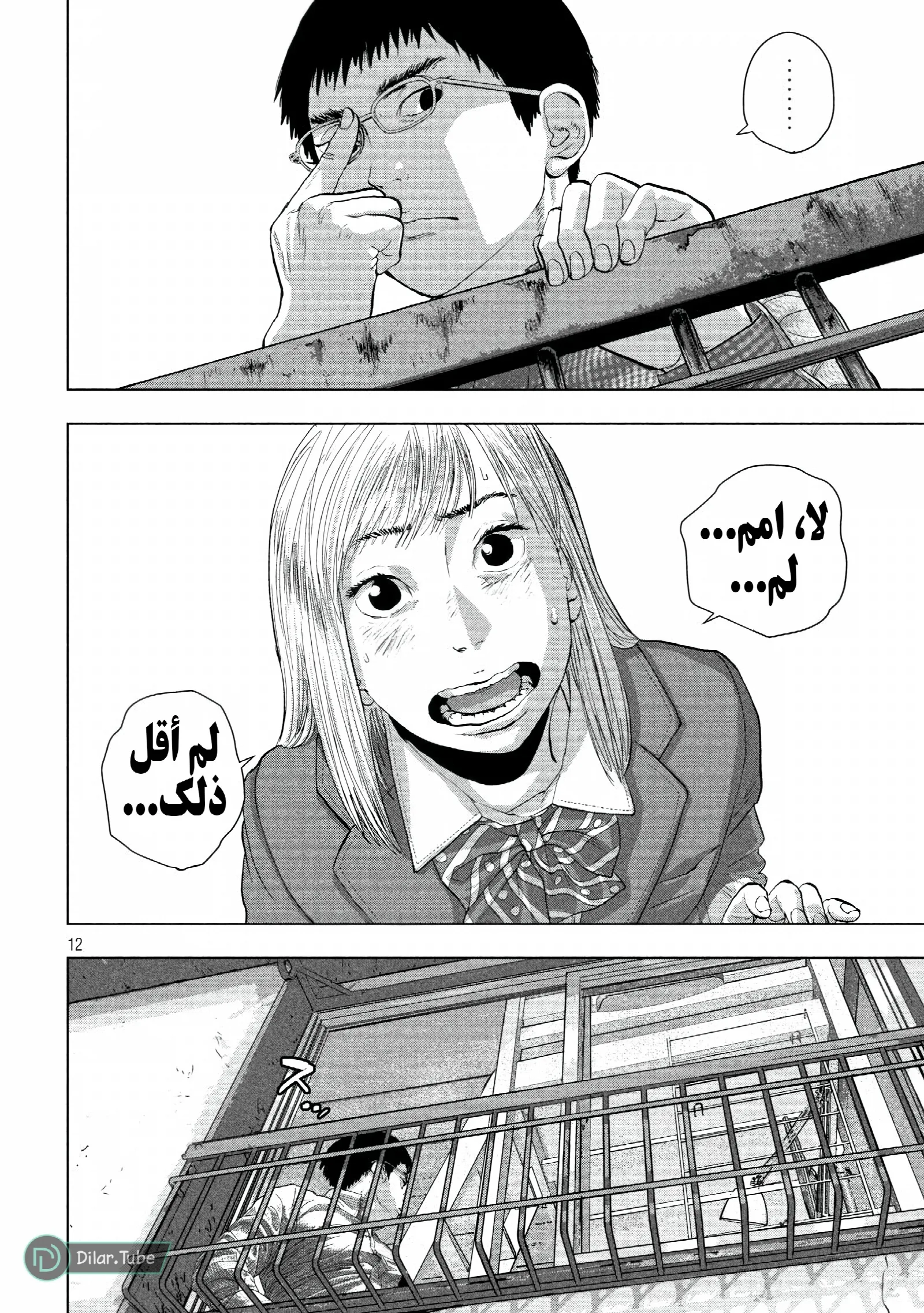 الصفحة 13