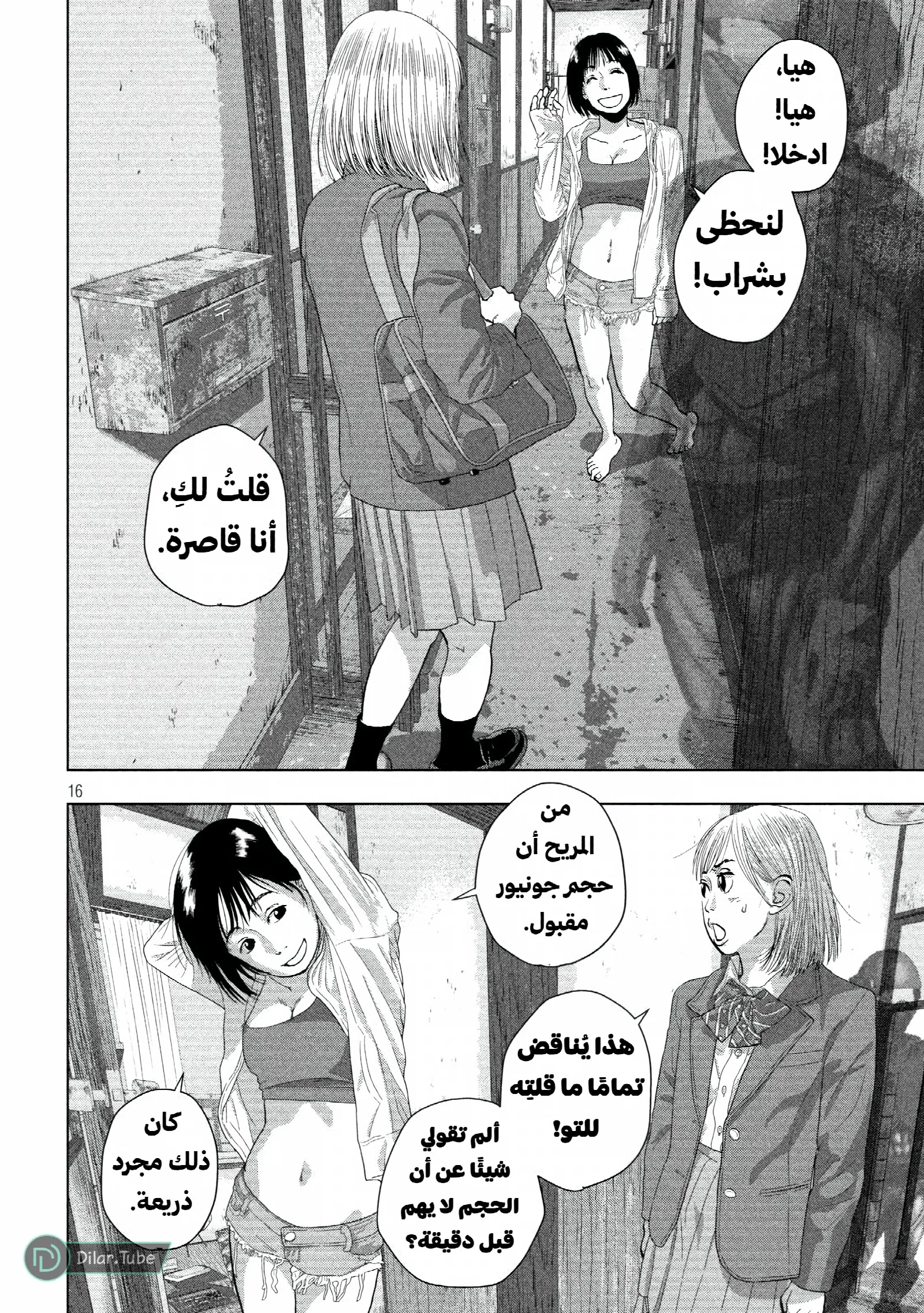 الصفحة 17