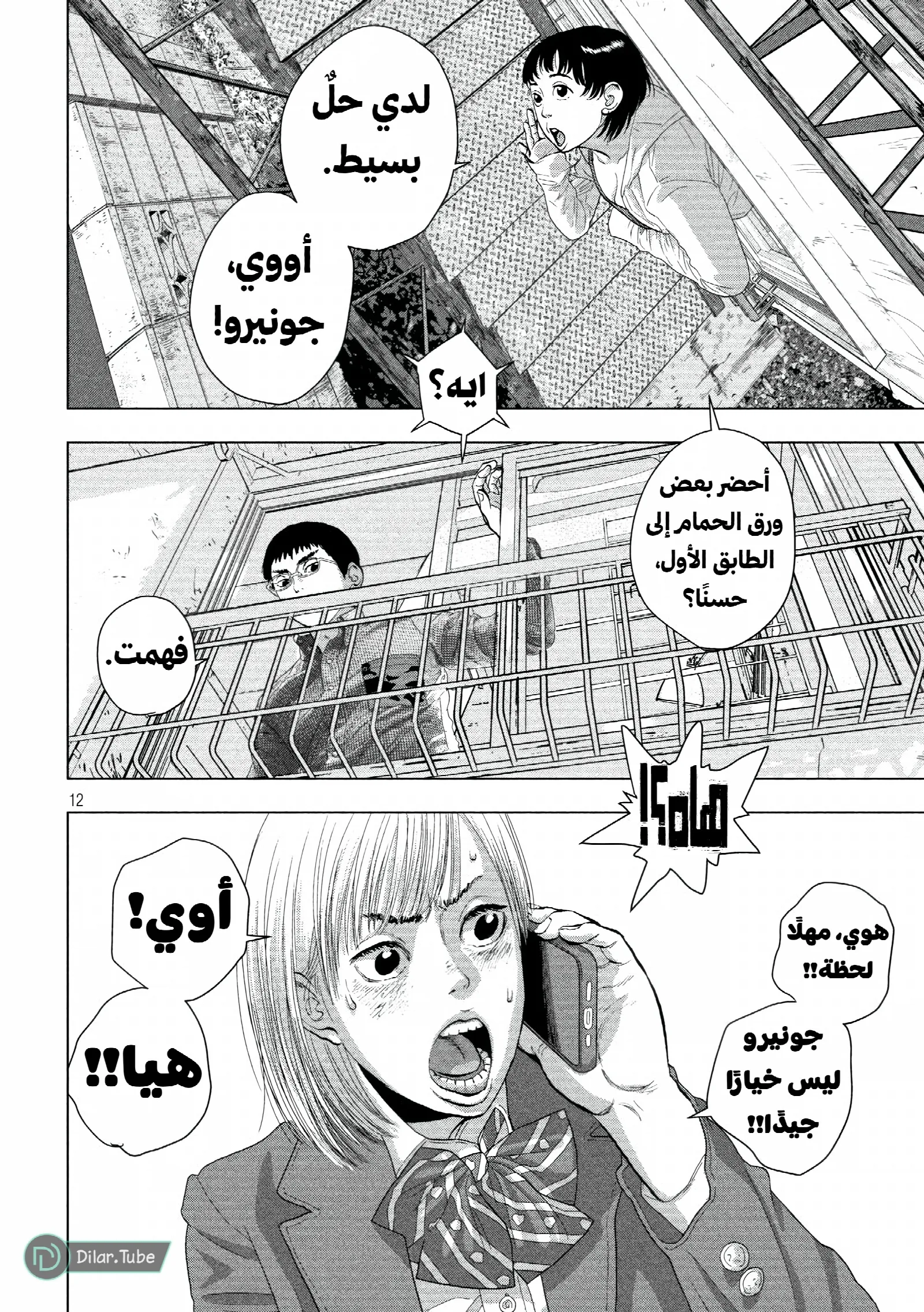 الصفحة 13
