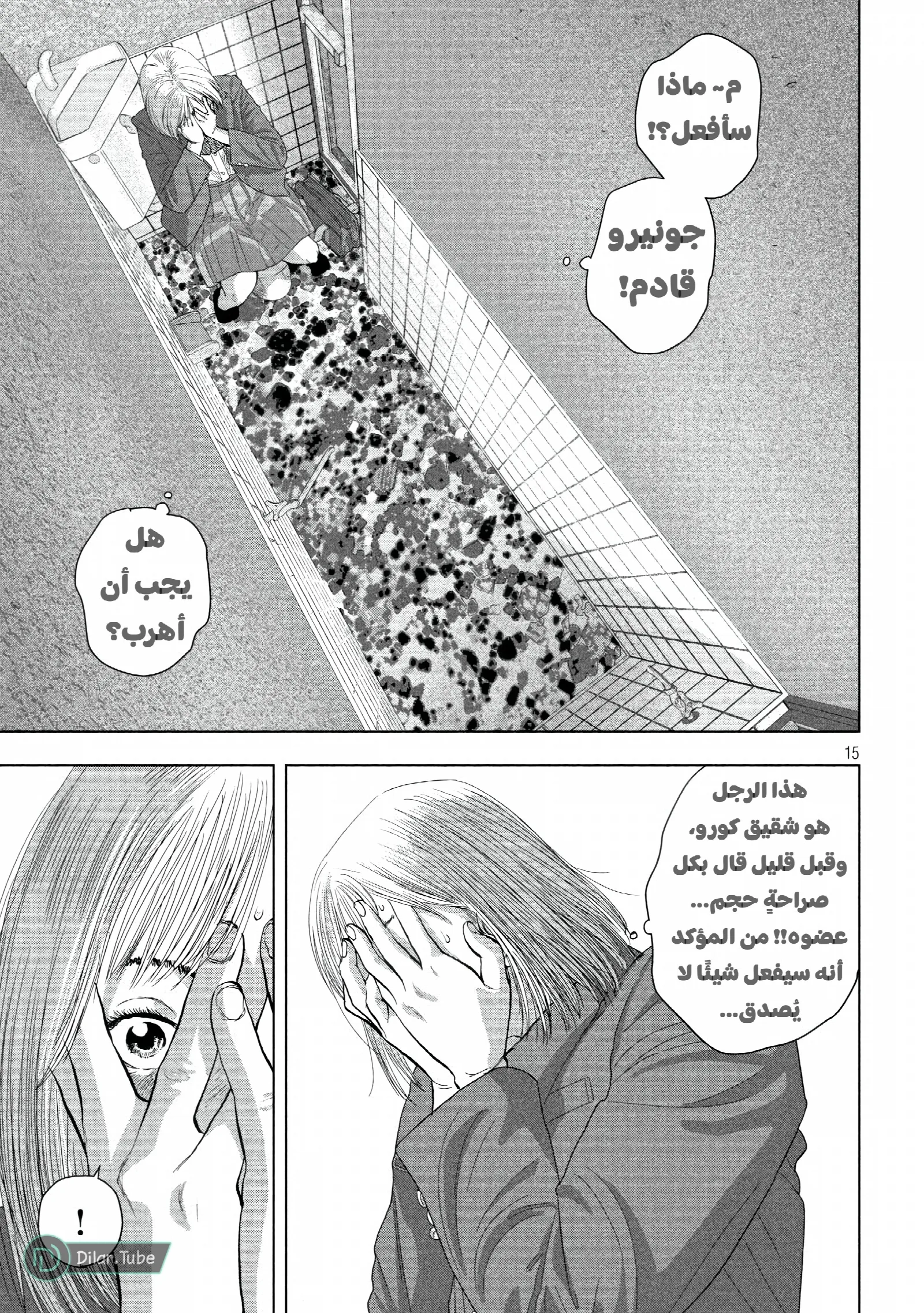الصفحة 16