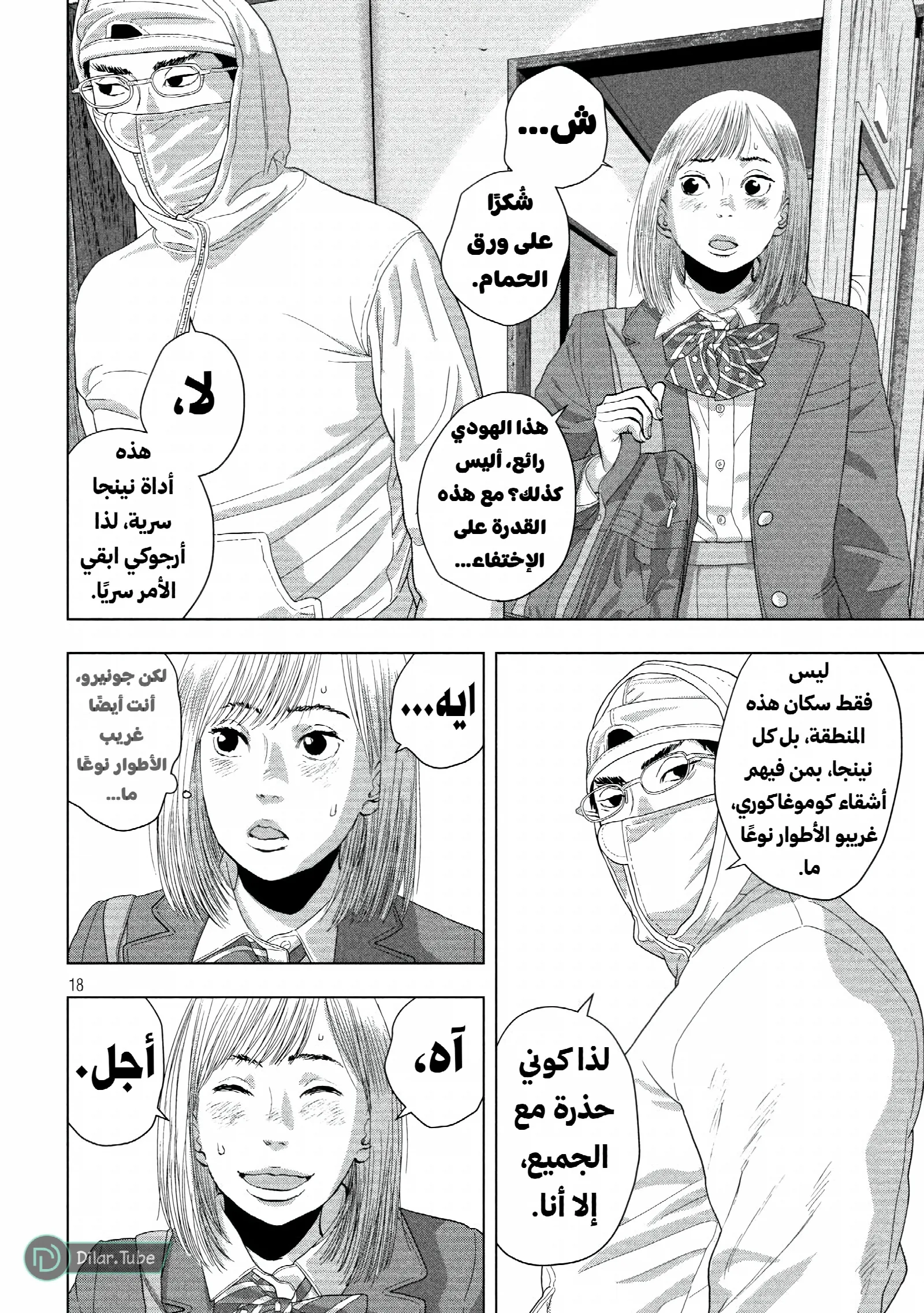 الصفحة 19