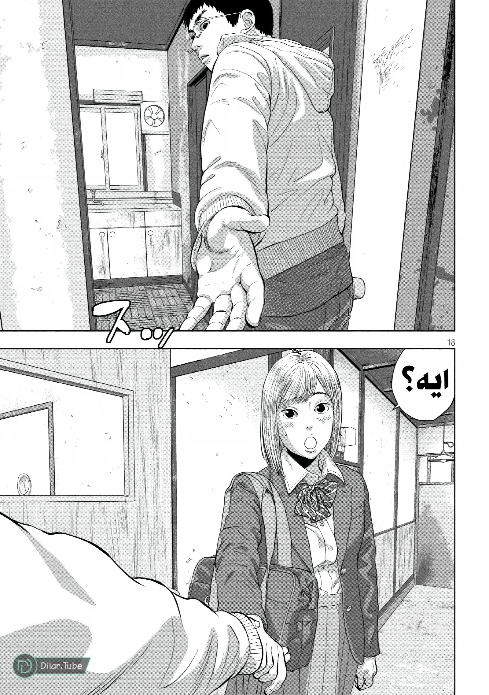 الصفحة 17