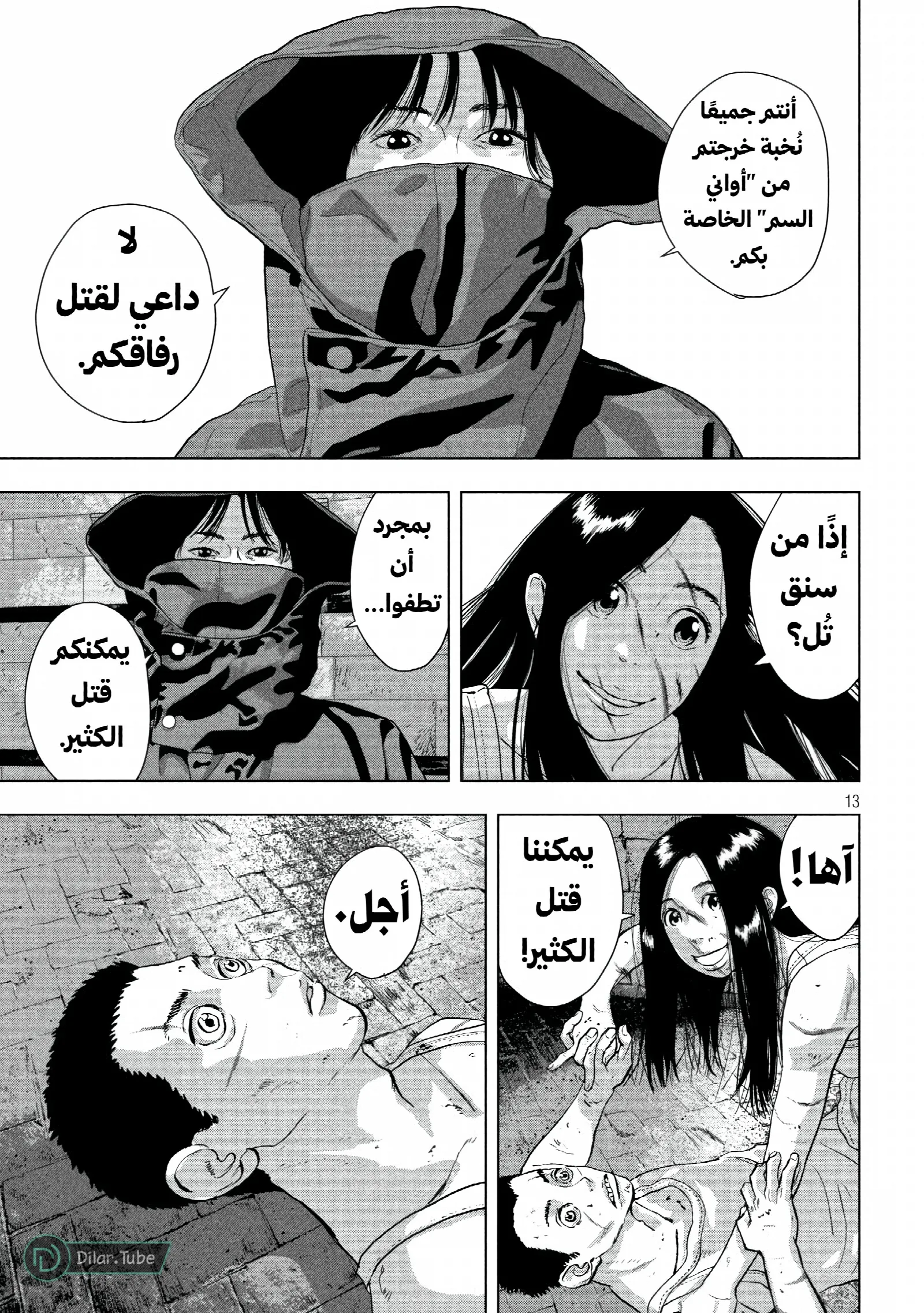 الصفحة 13