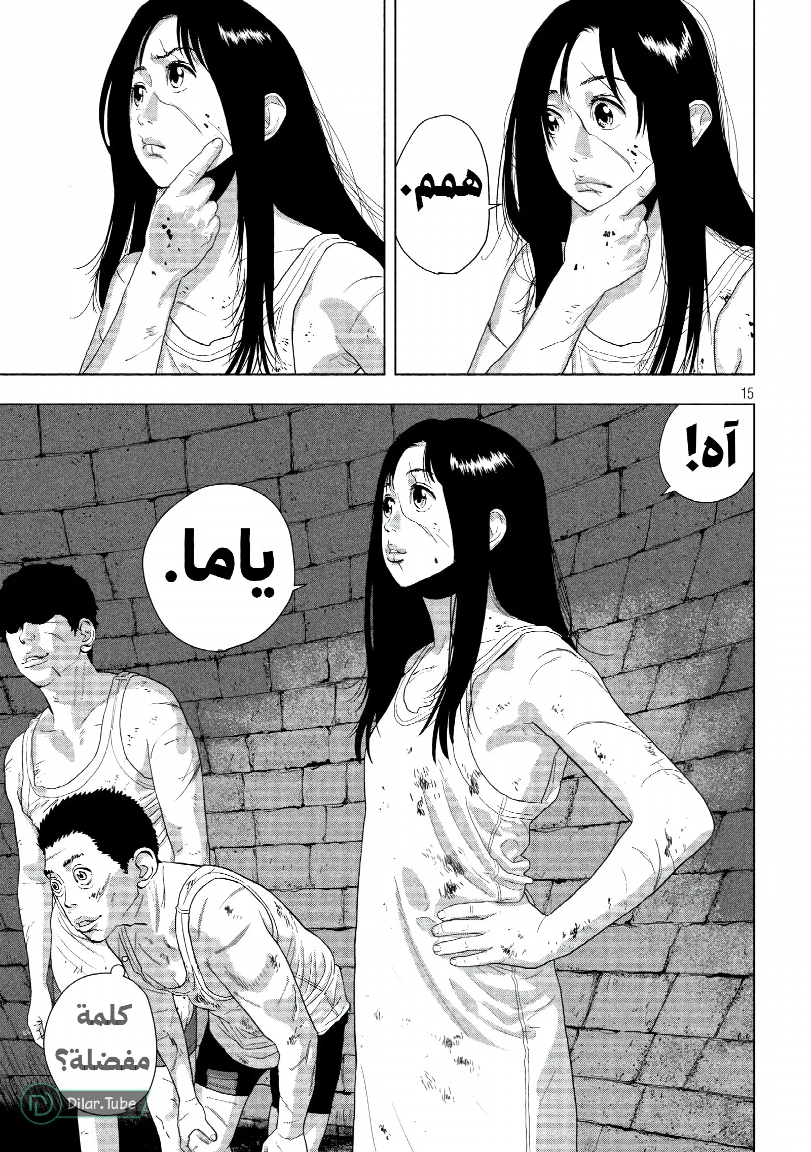 الصفحة 15