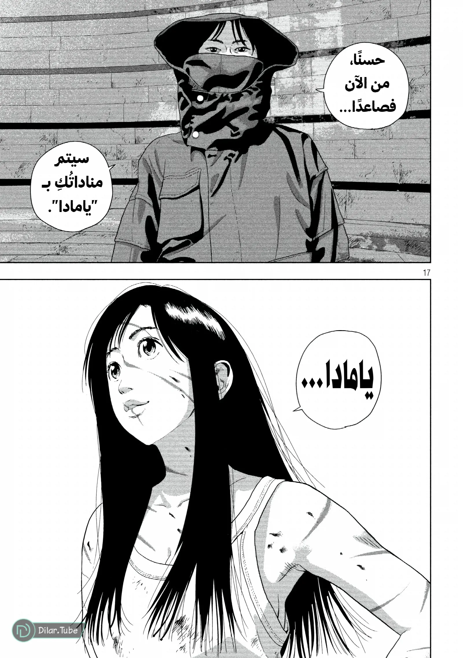 الصفحة 17