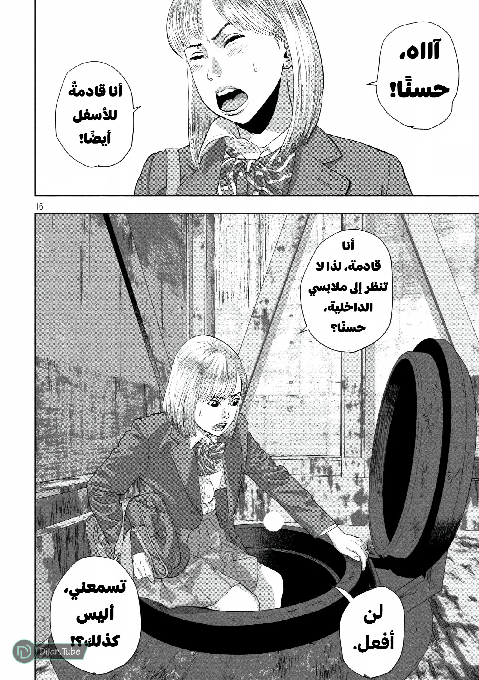 الصفحة 17