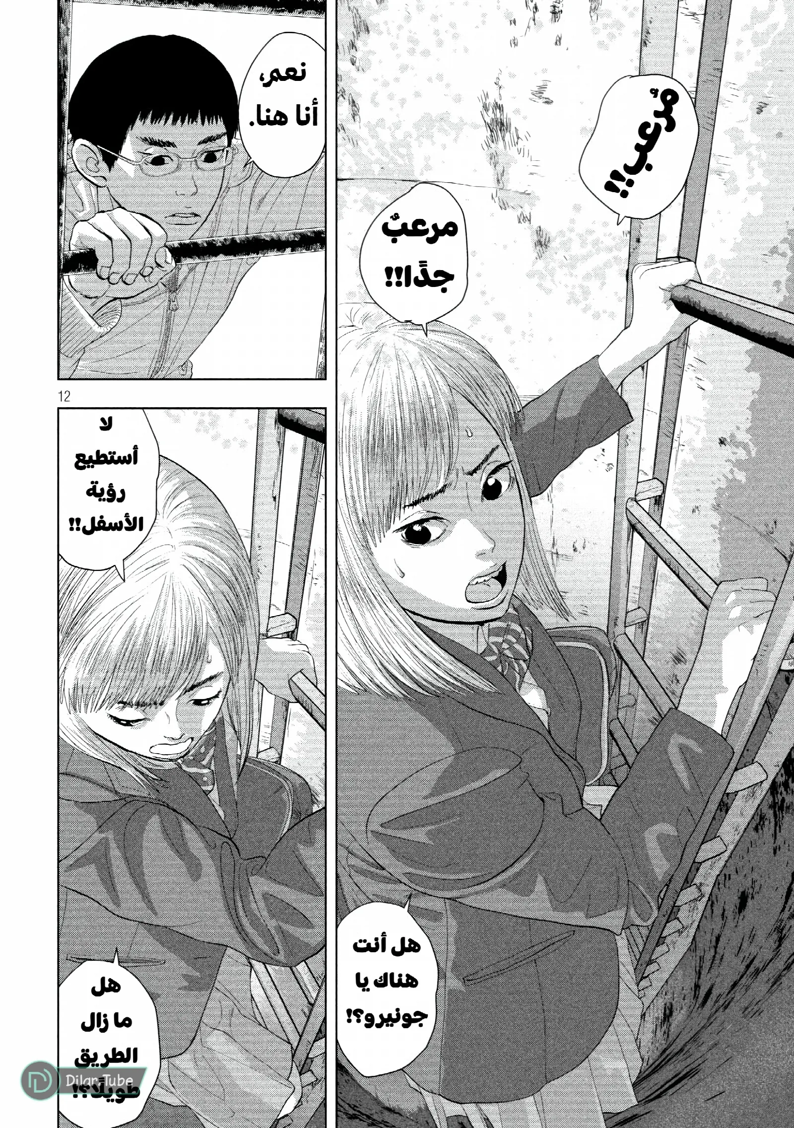 الصفحة 13