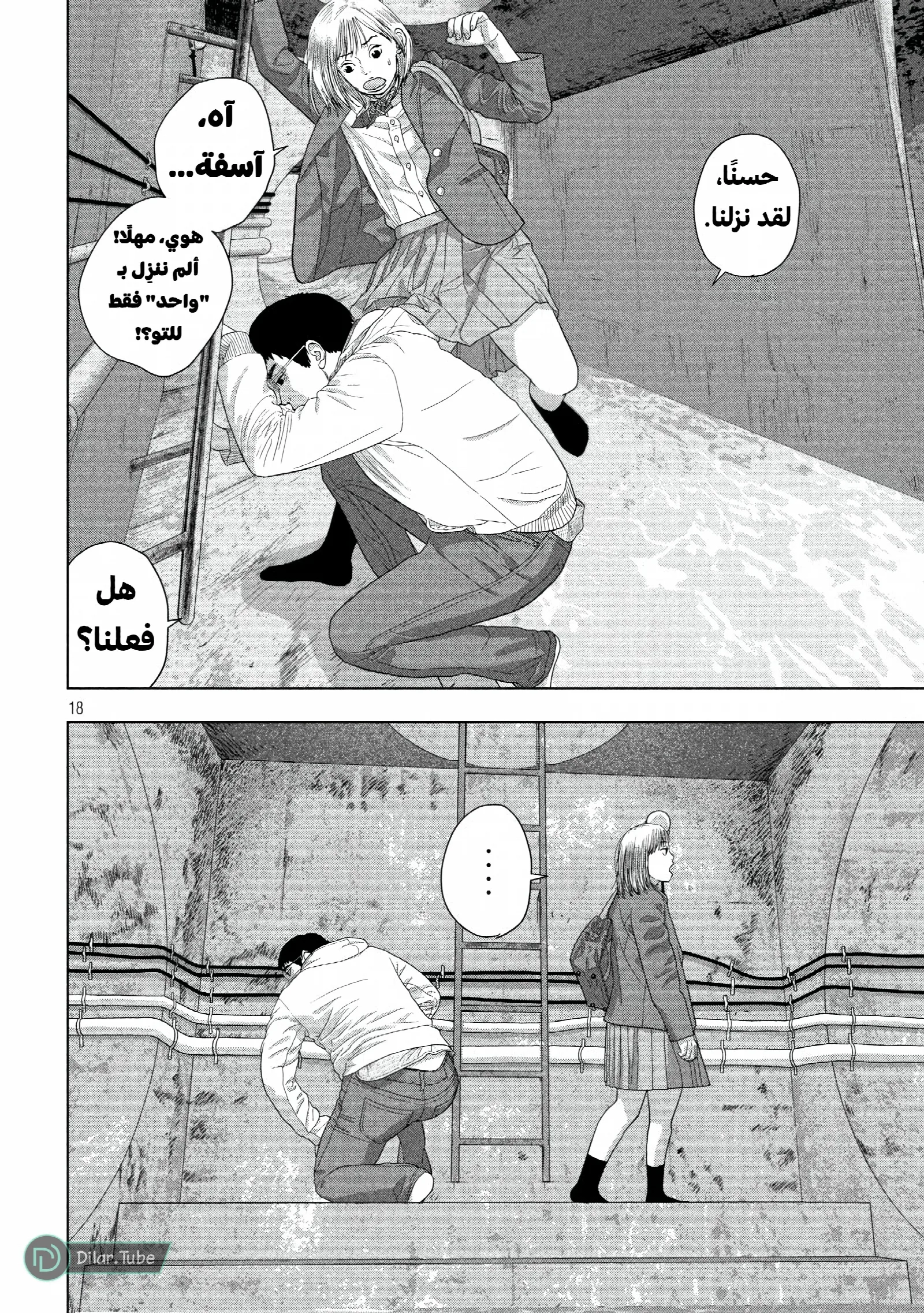 الصفحة 18