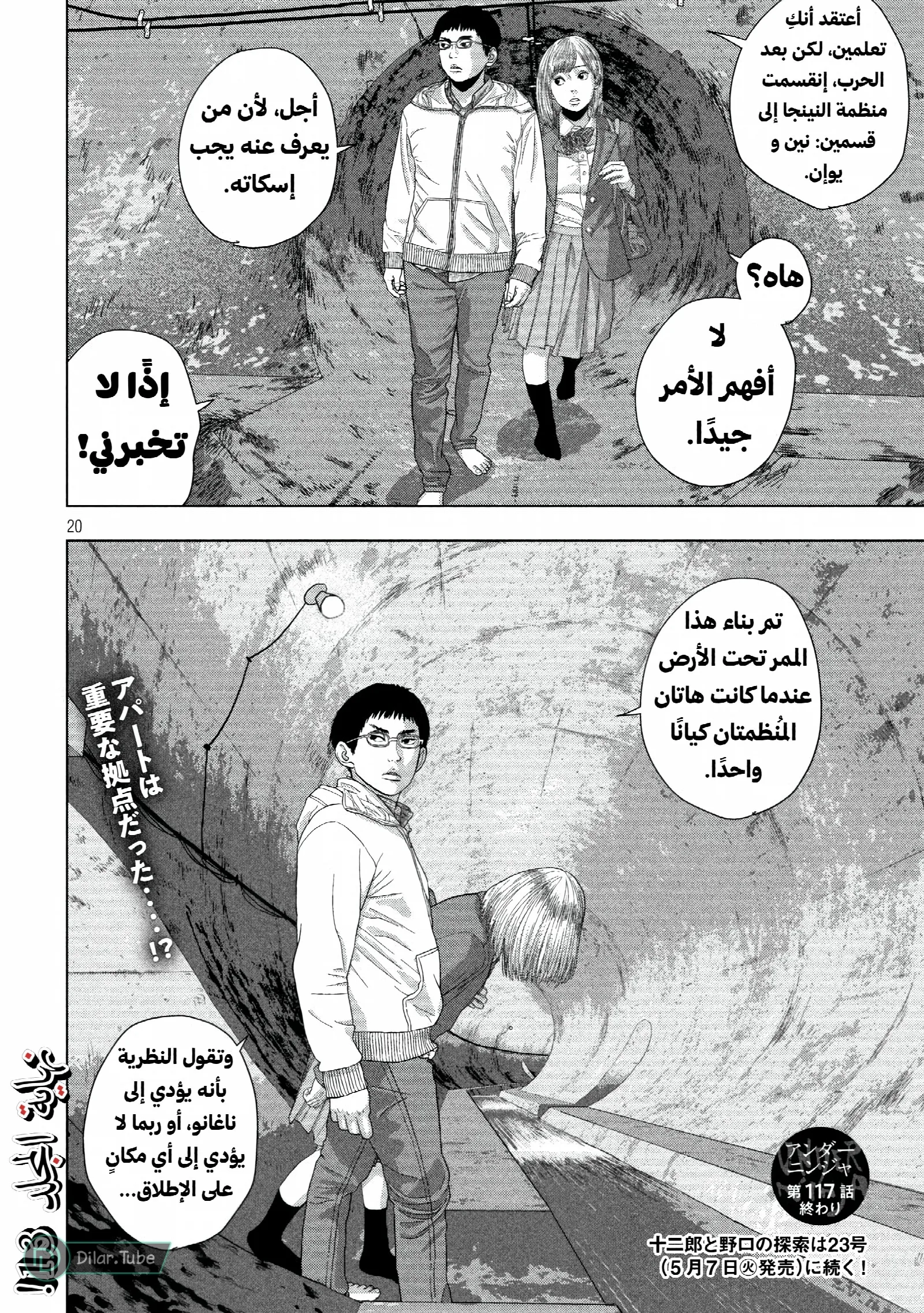 الصفحة 20