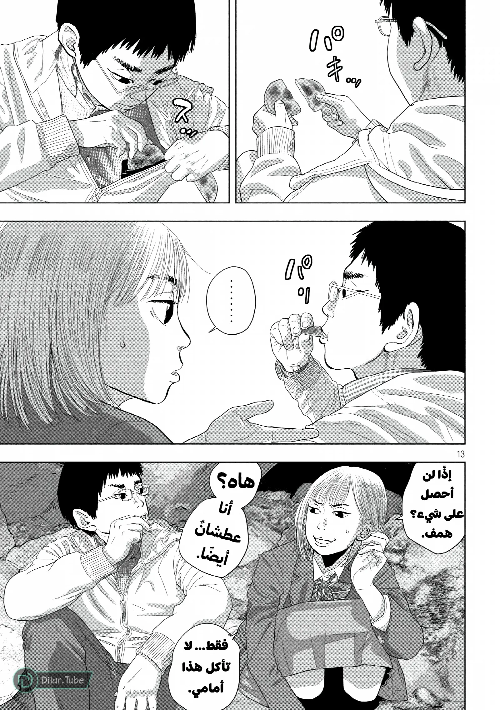 الصفحة 13