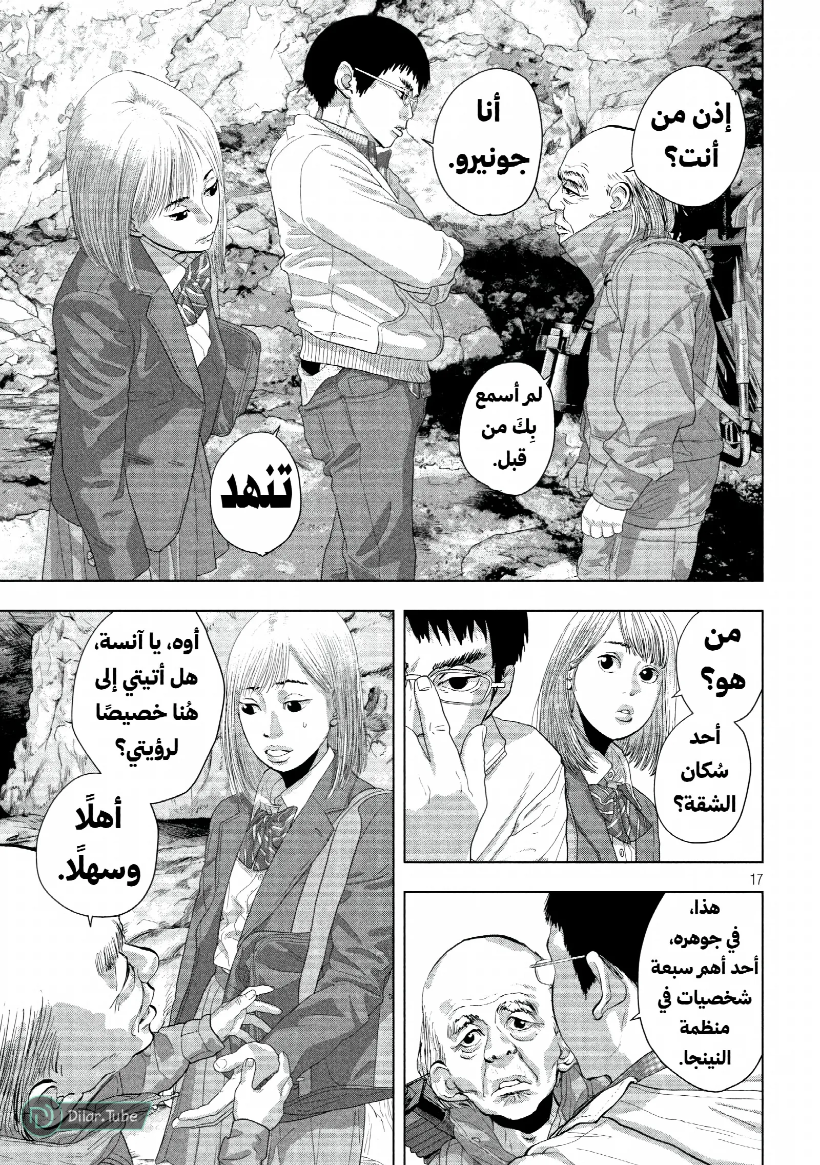 الصفحة 17