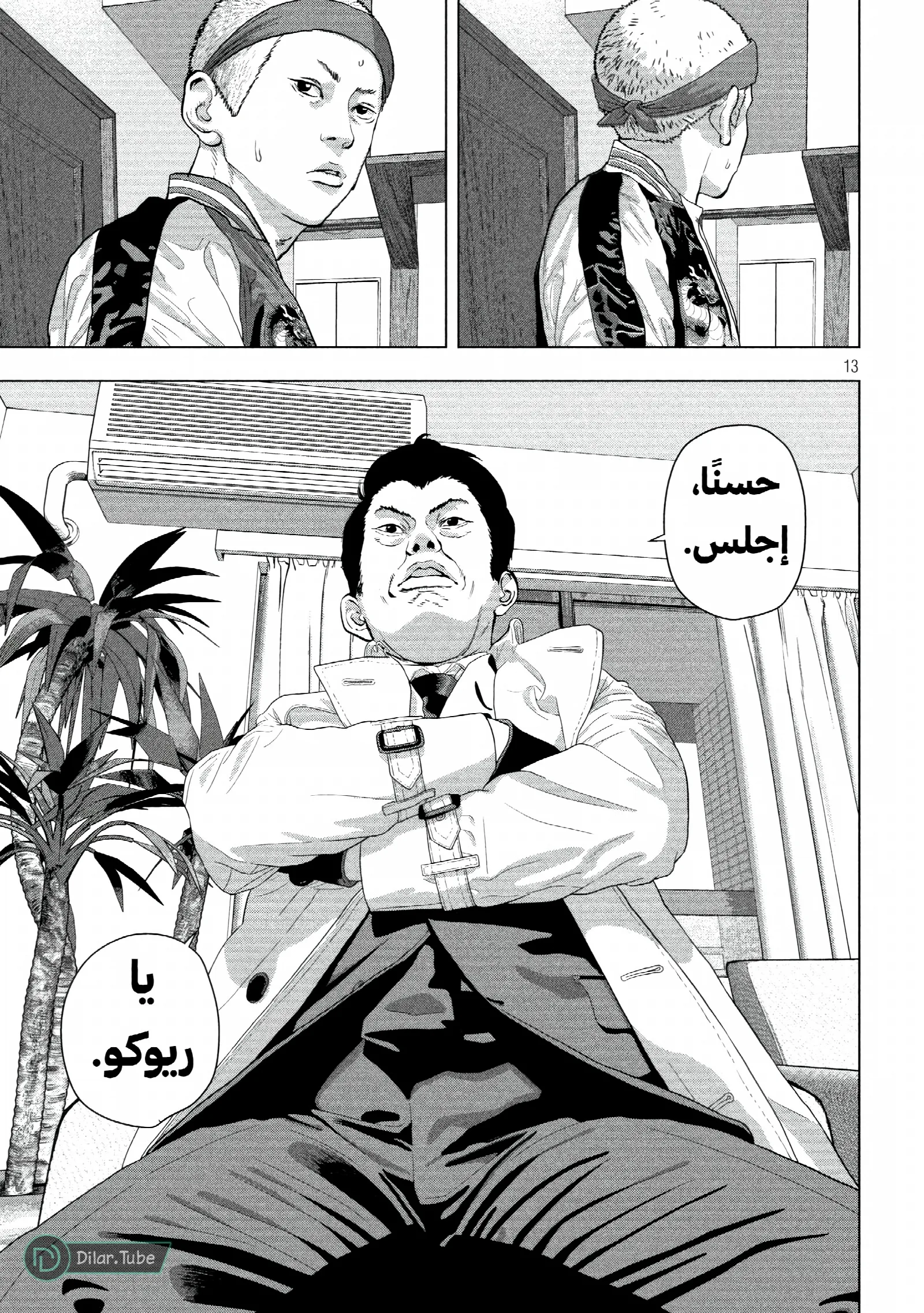 الصفحة 13