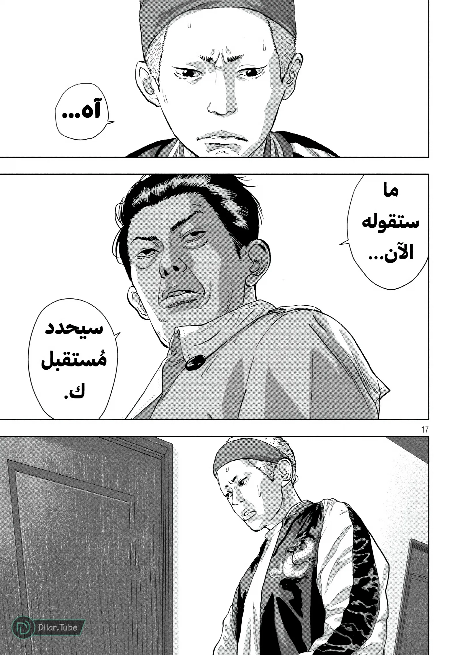 الصفحة 17