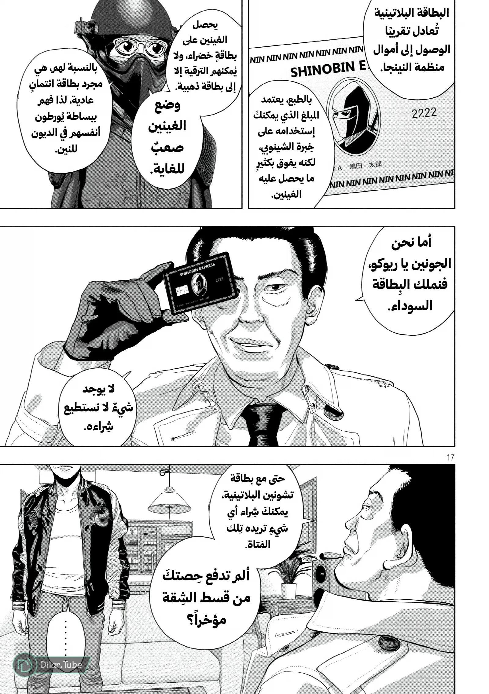 الصفحة 17