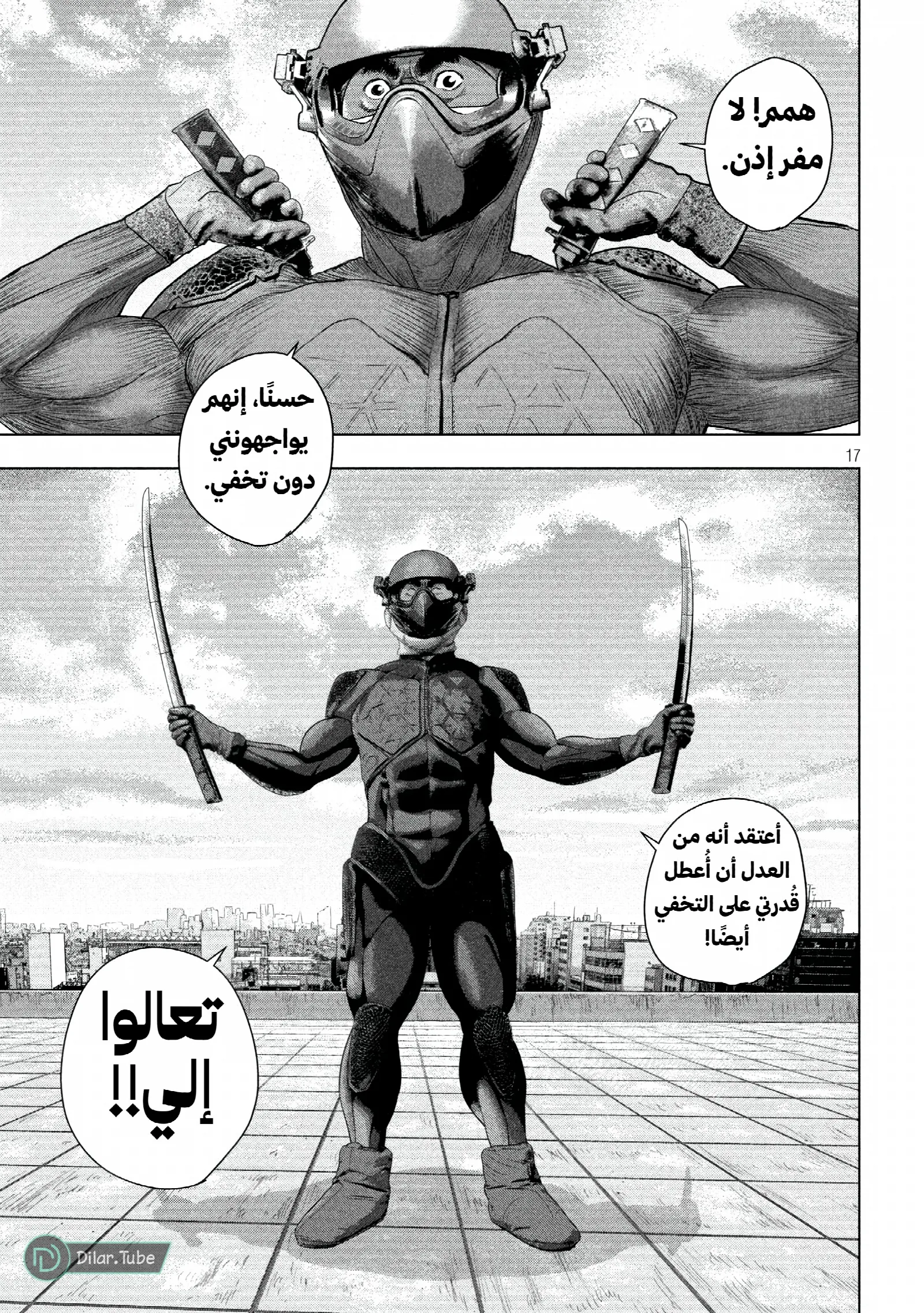 الصفحة 17