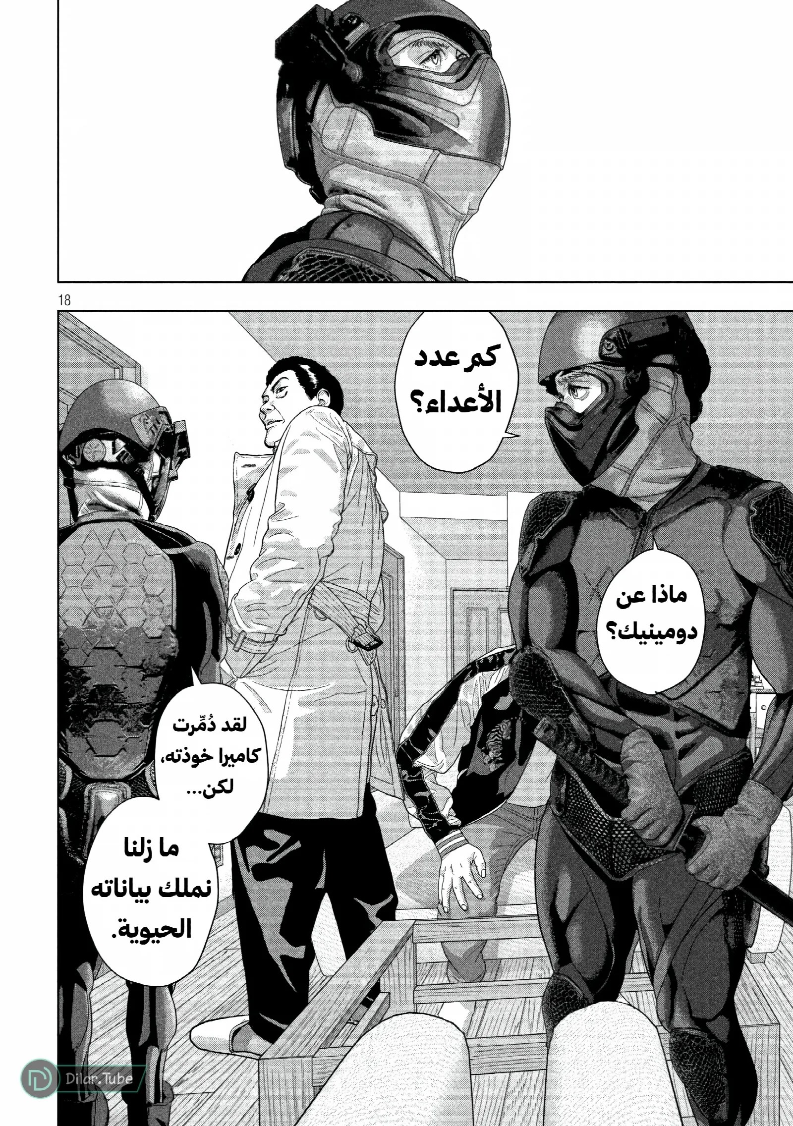 الصفحة 17