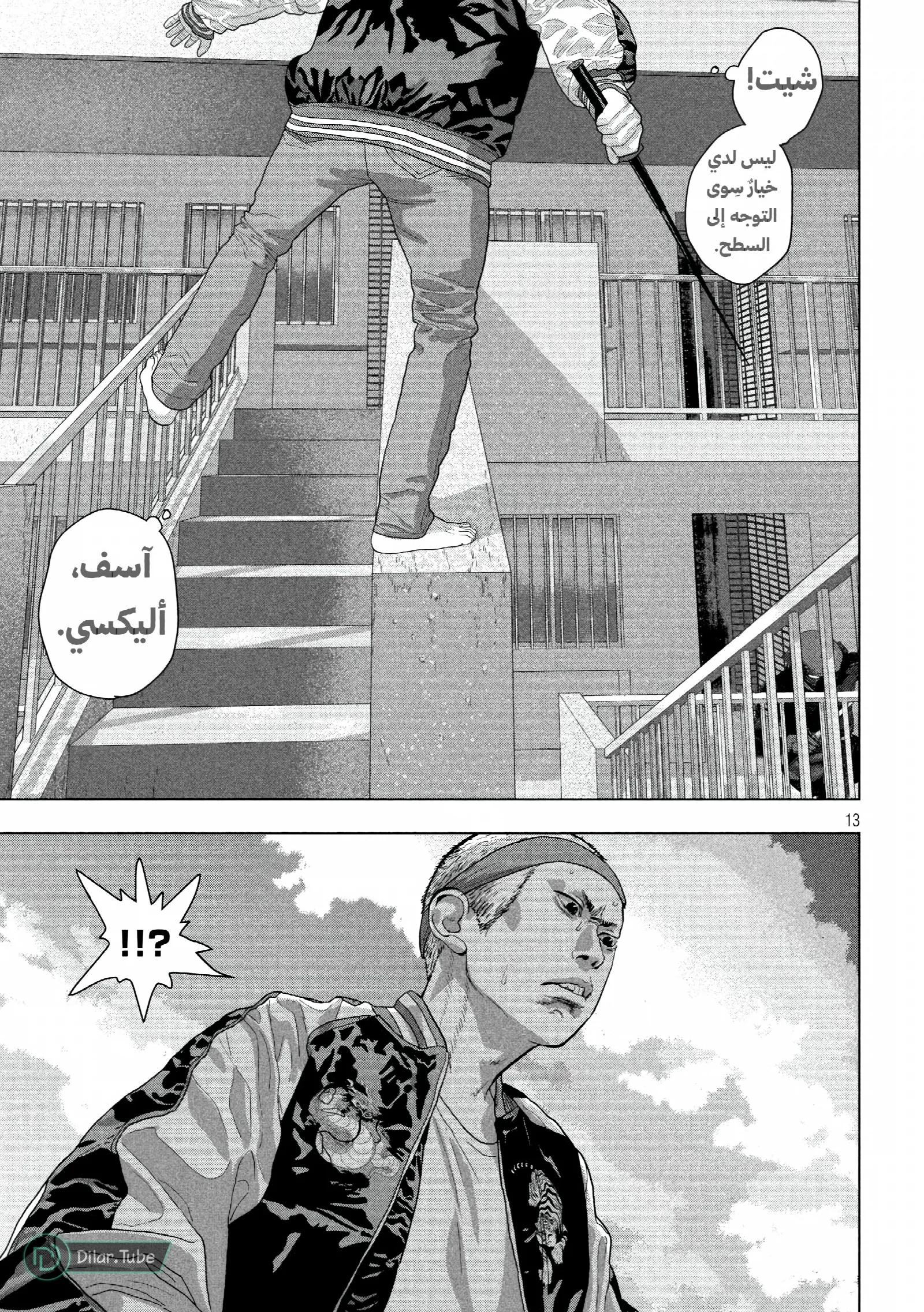 الصفحة 13