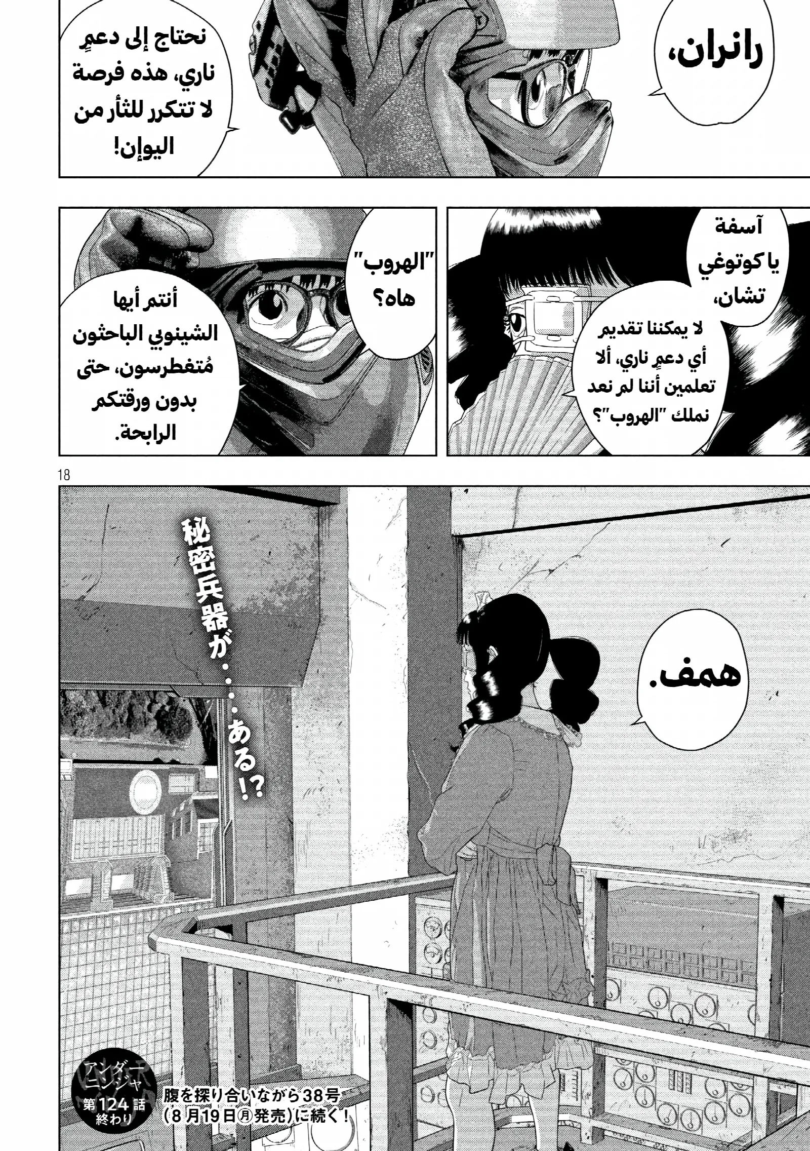 الصفحة 17