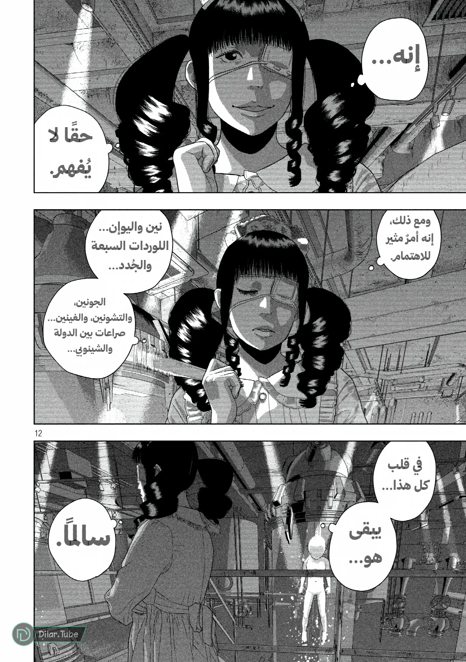 الصفحة 12