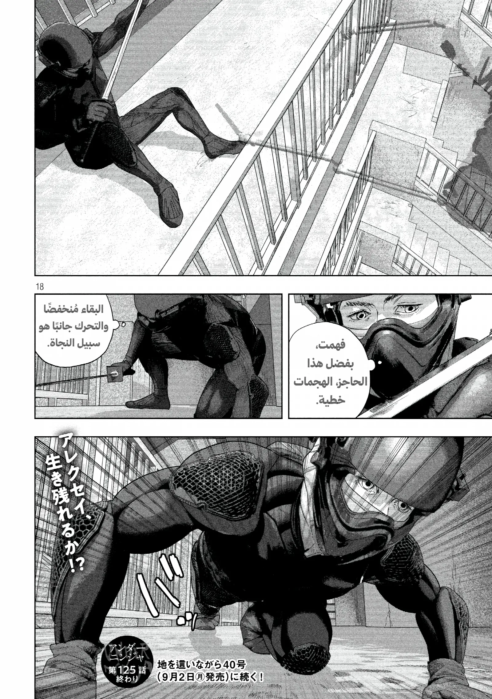 الصفحة 17