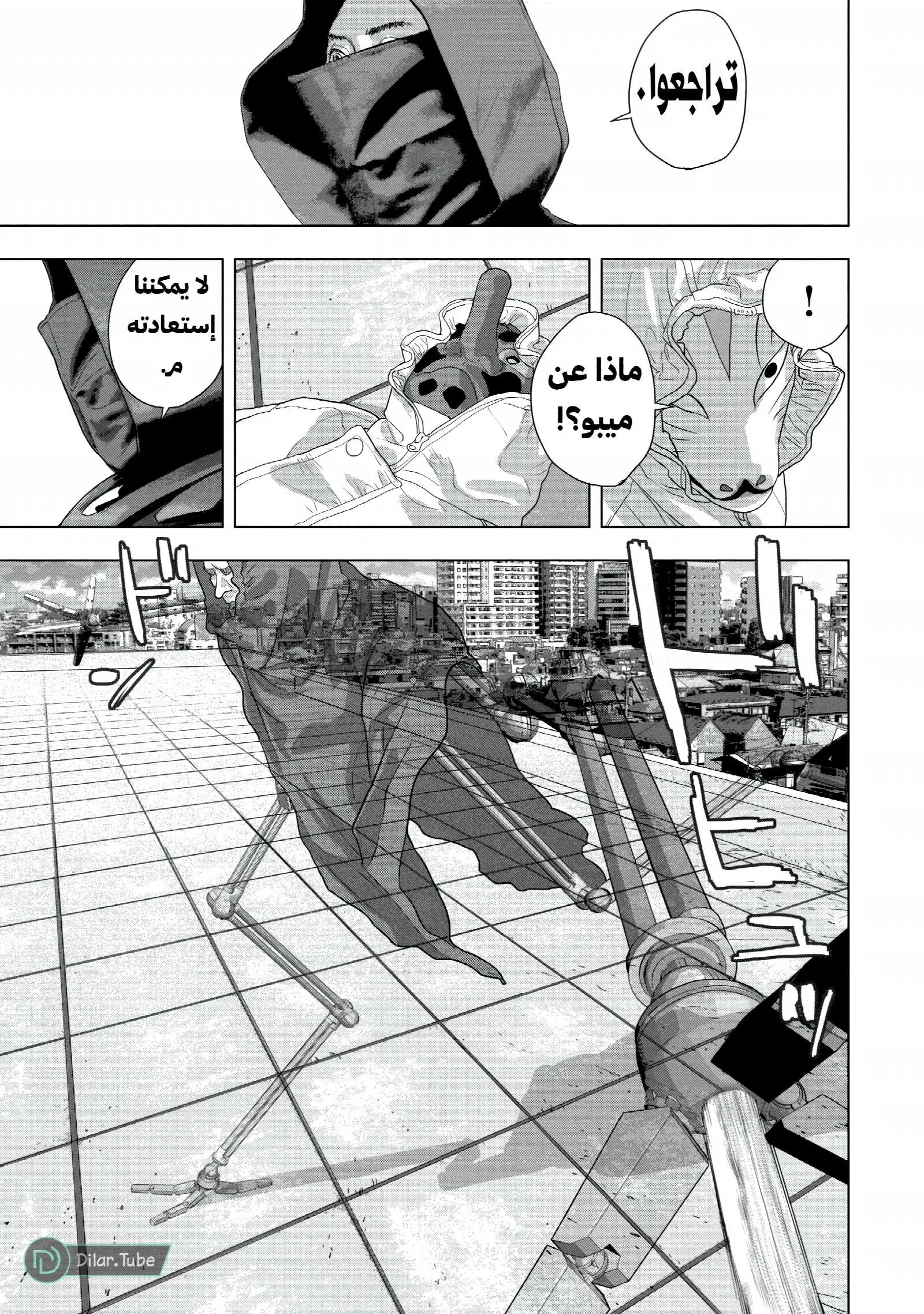 الصفحة 10