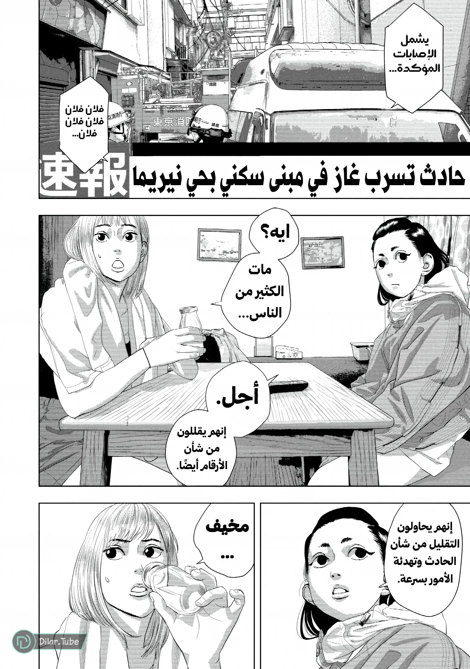 الصفحة 13