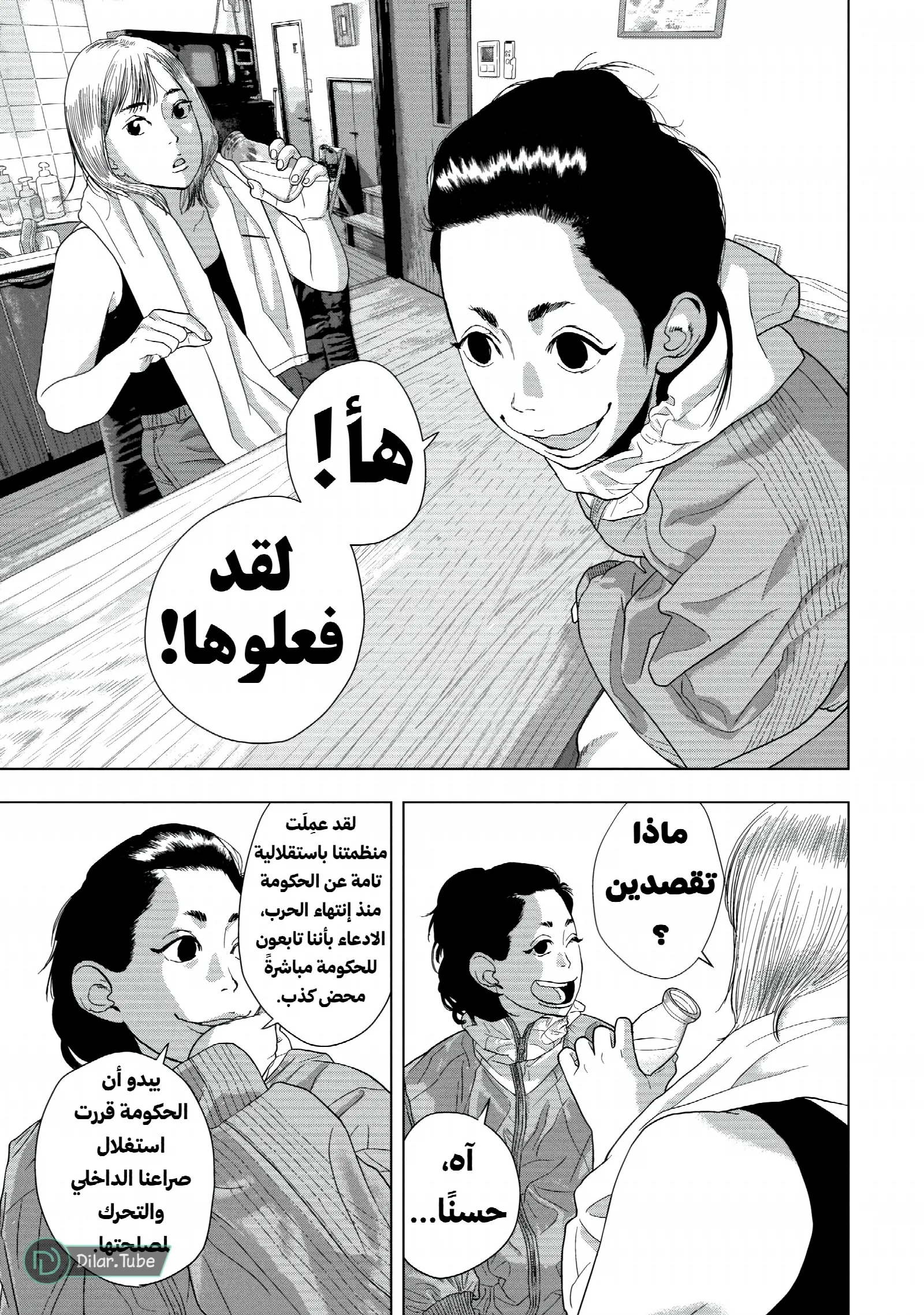 الصفحة 17