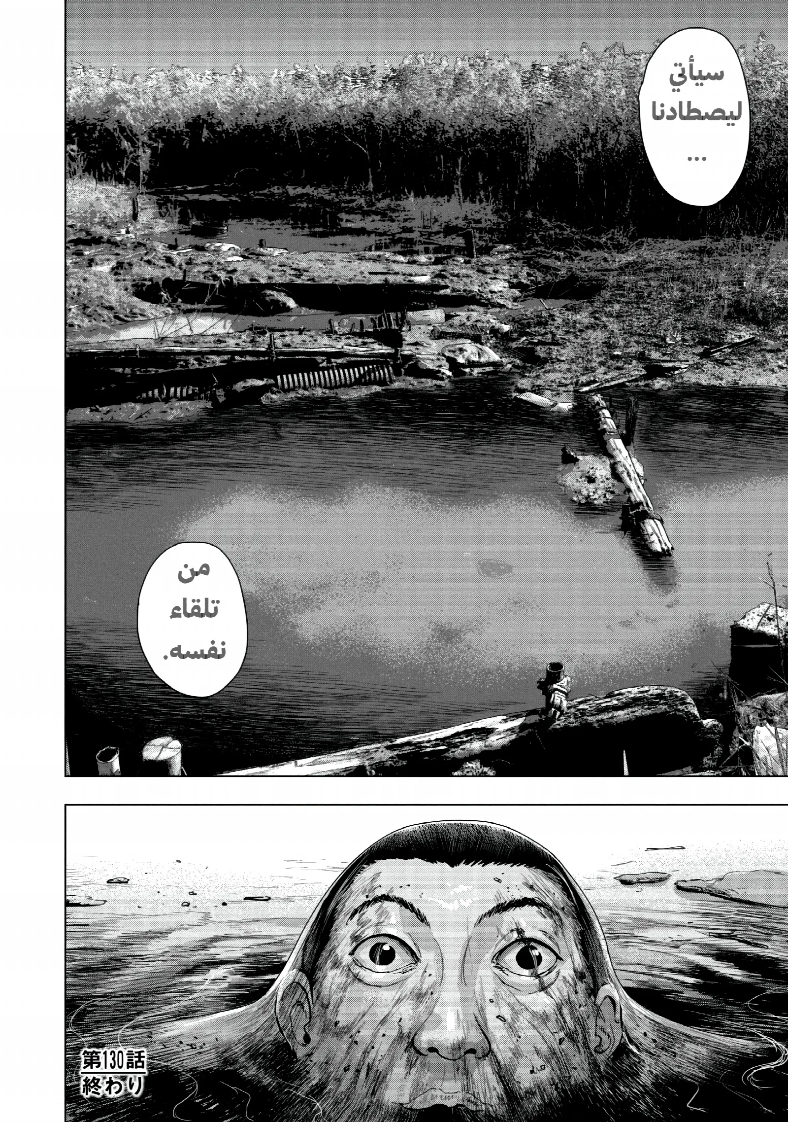 الصفحة 17