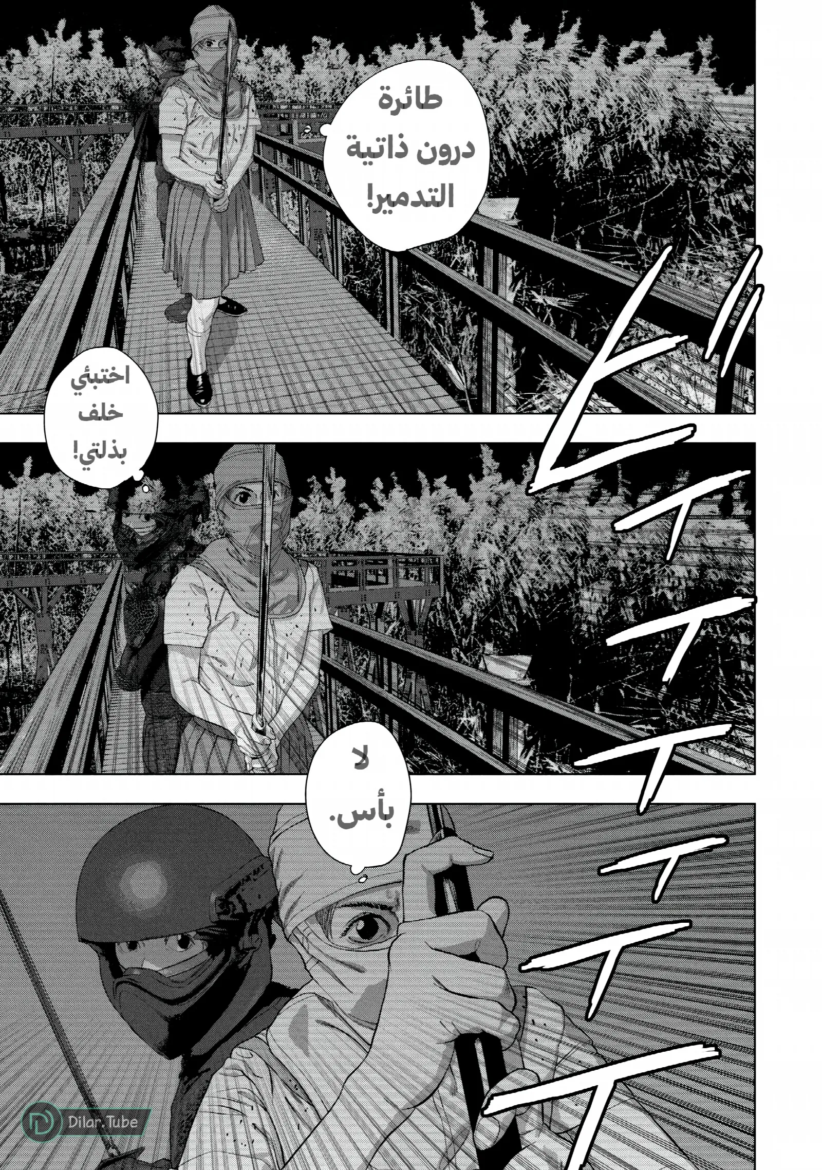 الصفحة 13