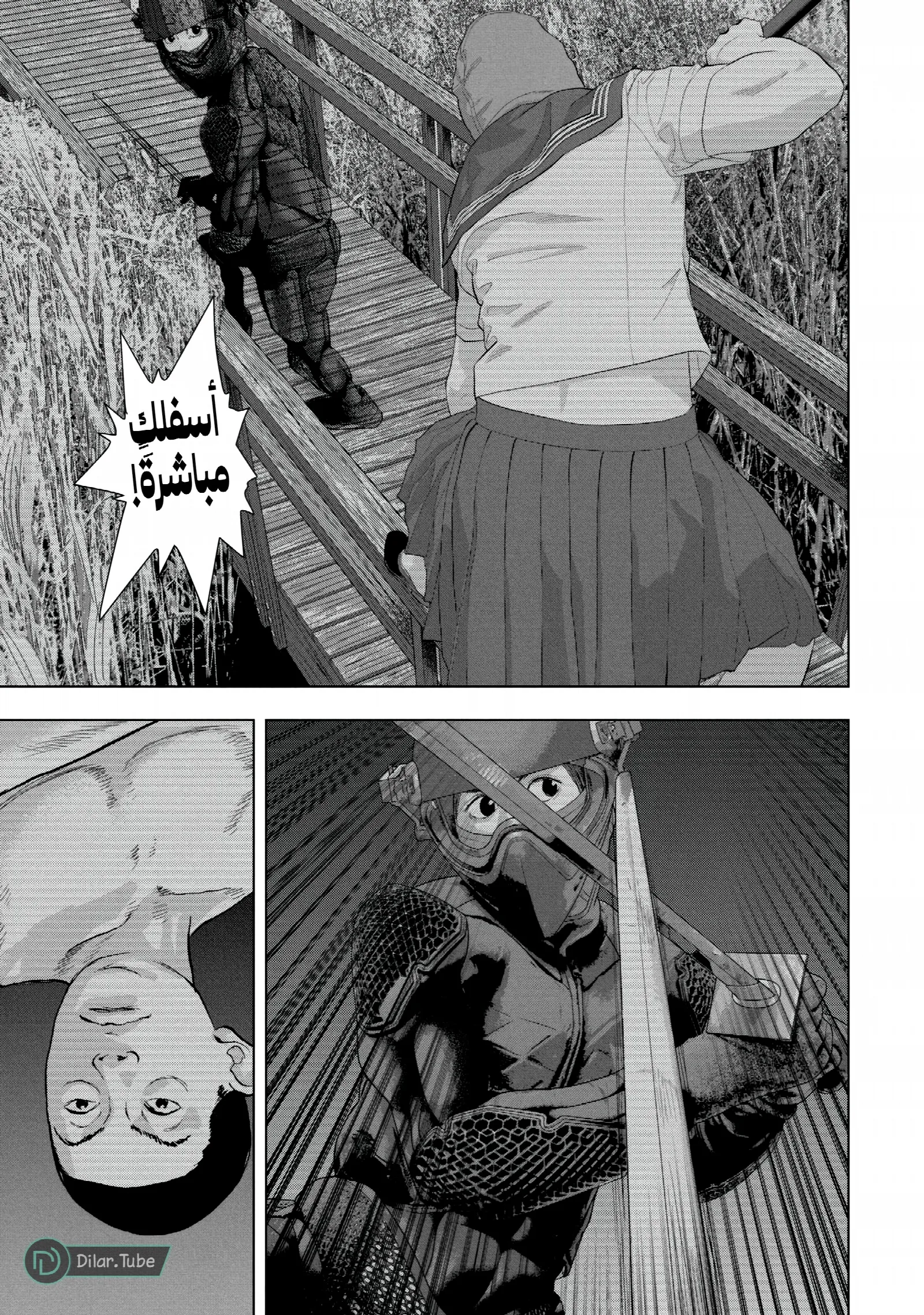 الصفحة 5