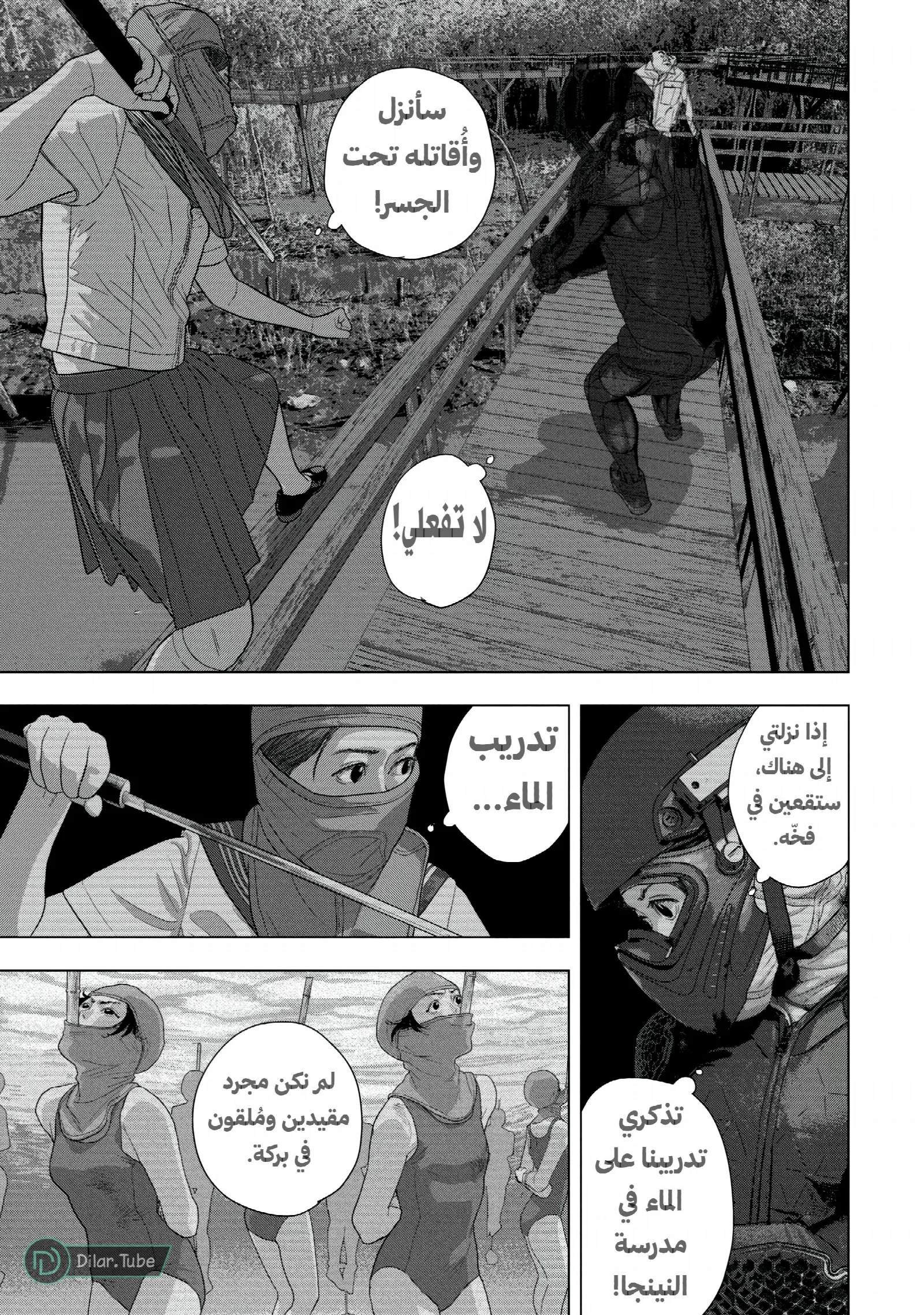 الصفحة 13