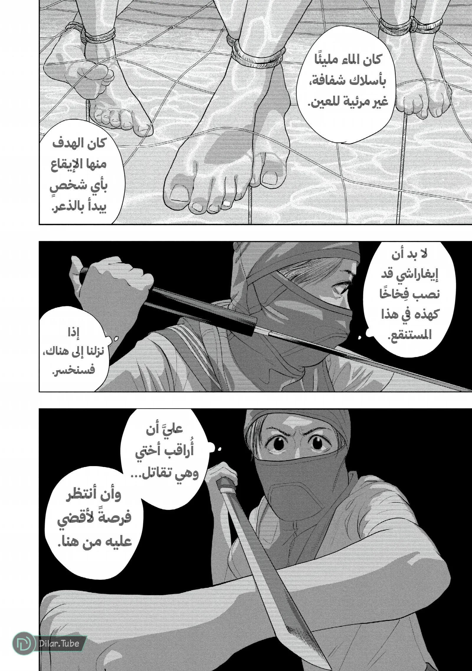 الصفحة 14