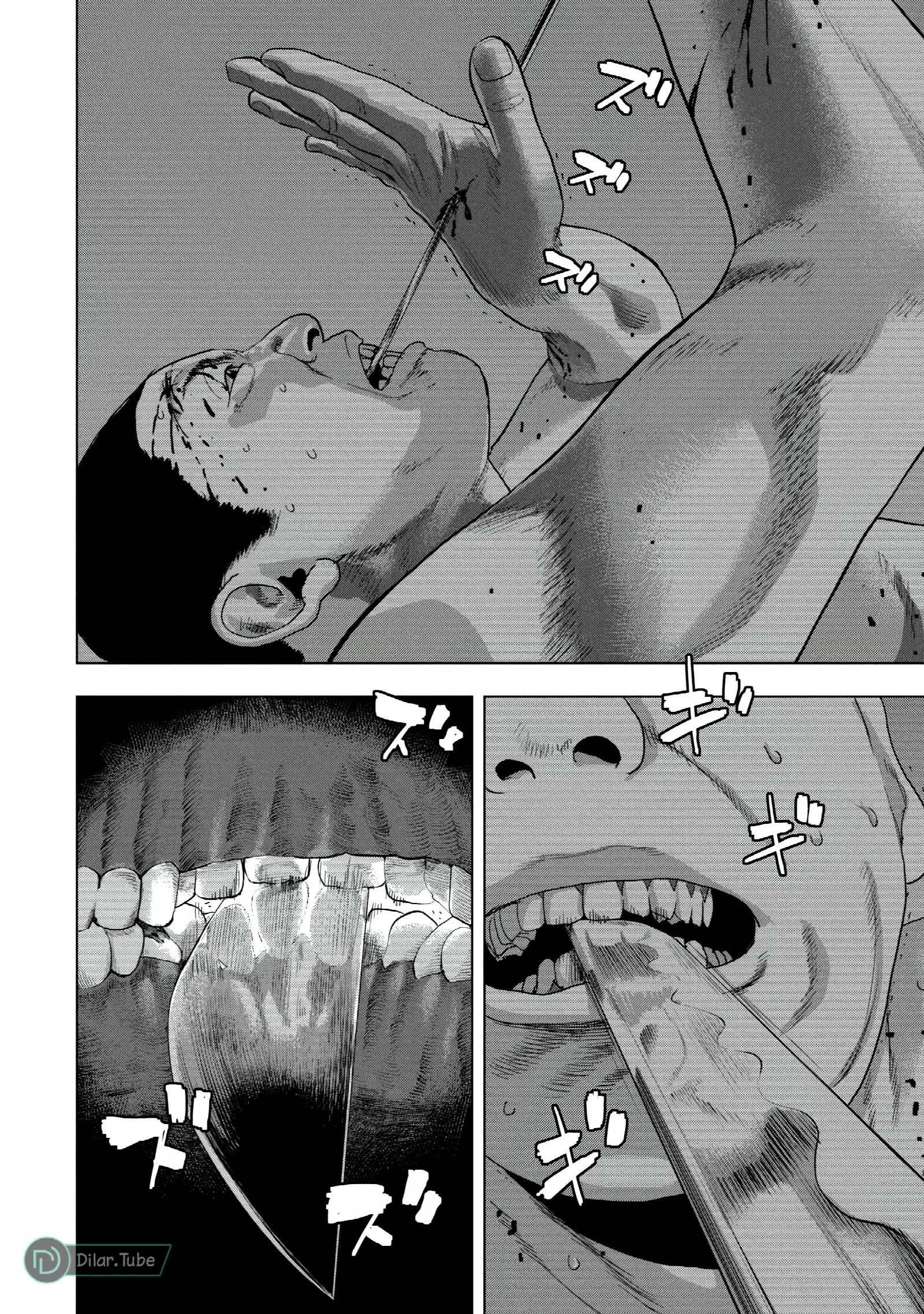 الصفحة 3