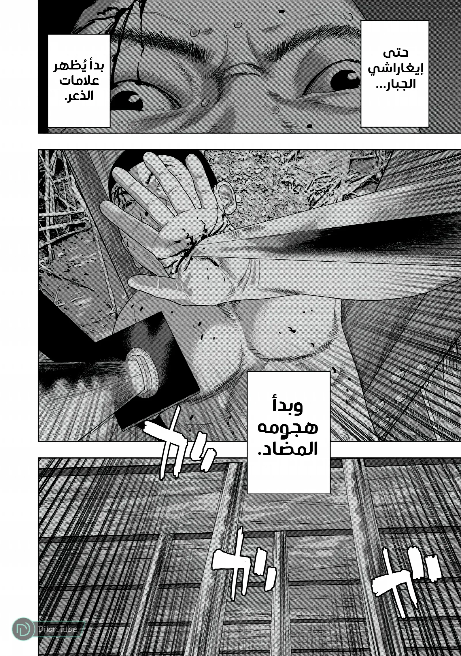 الصفحة 5