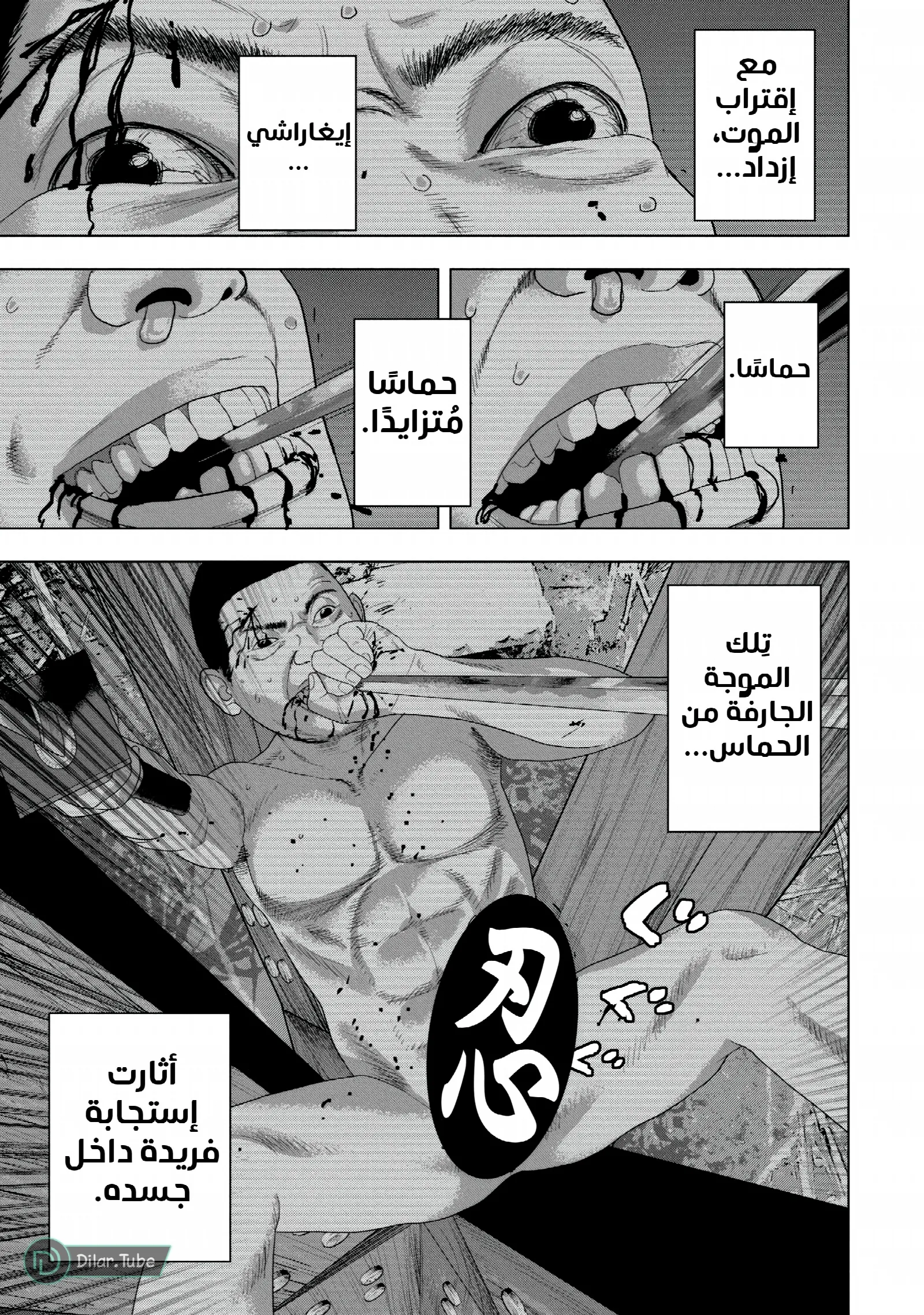 الصفحة 8