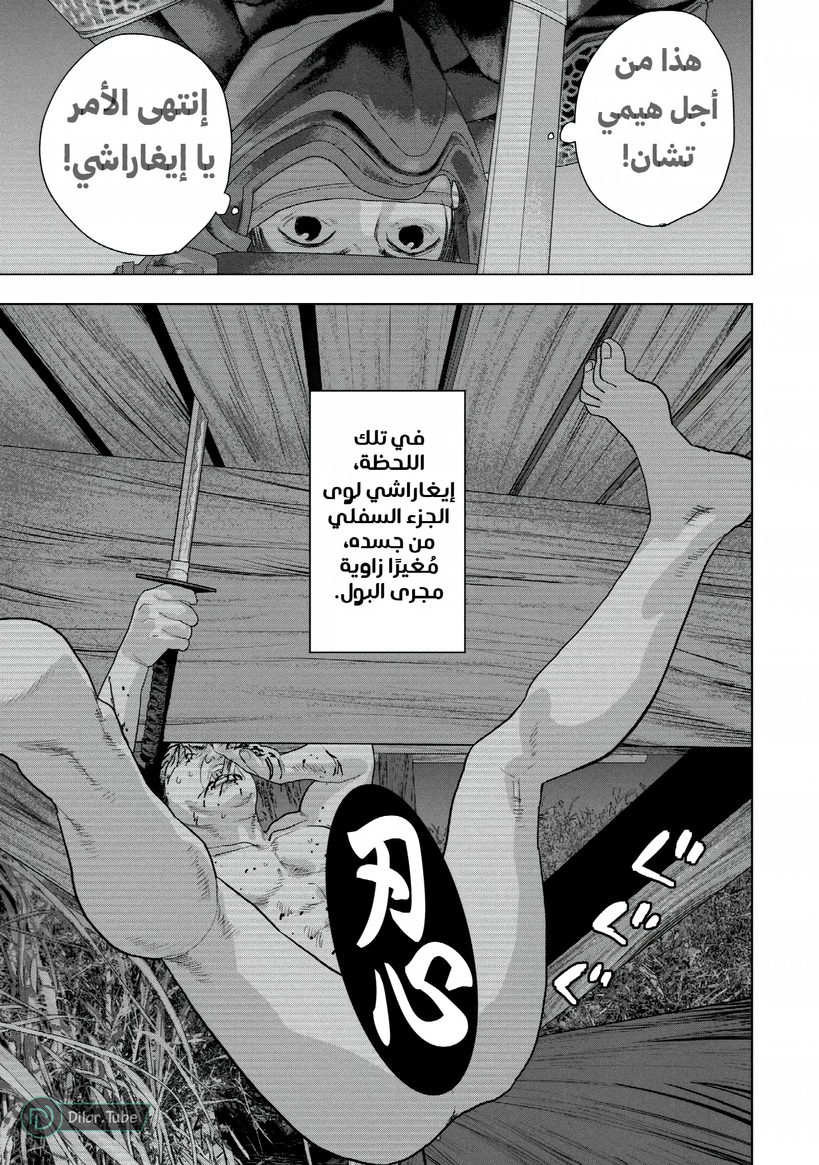 الصفحة 10