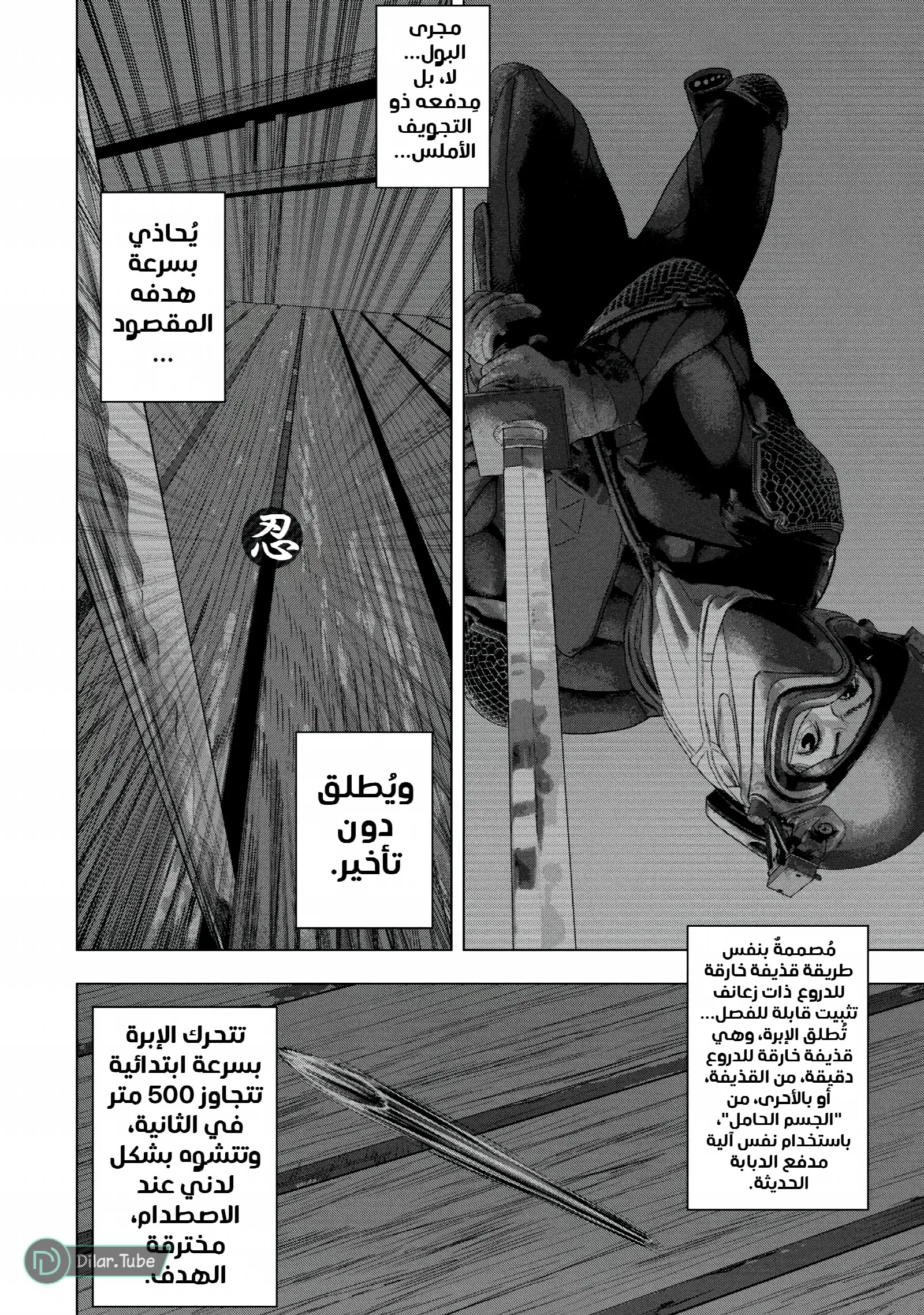 الصفحة 11