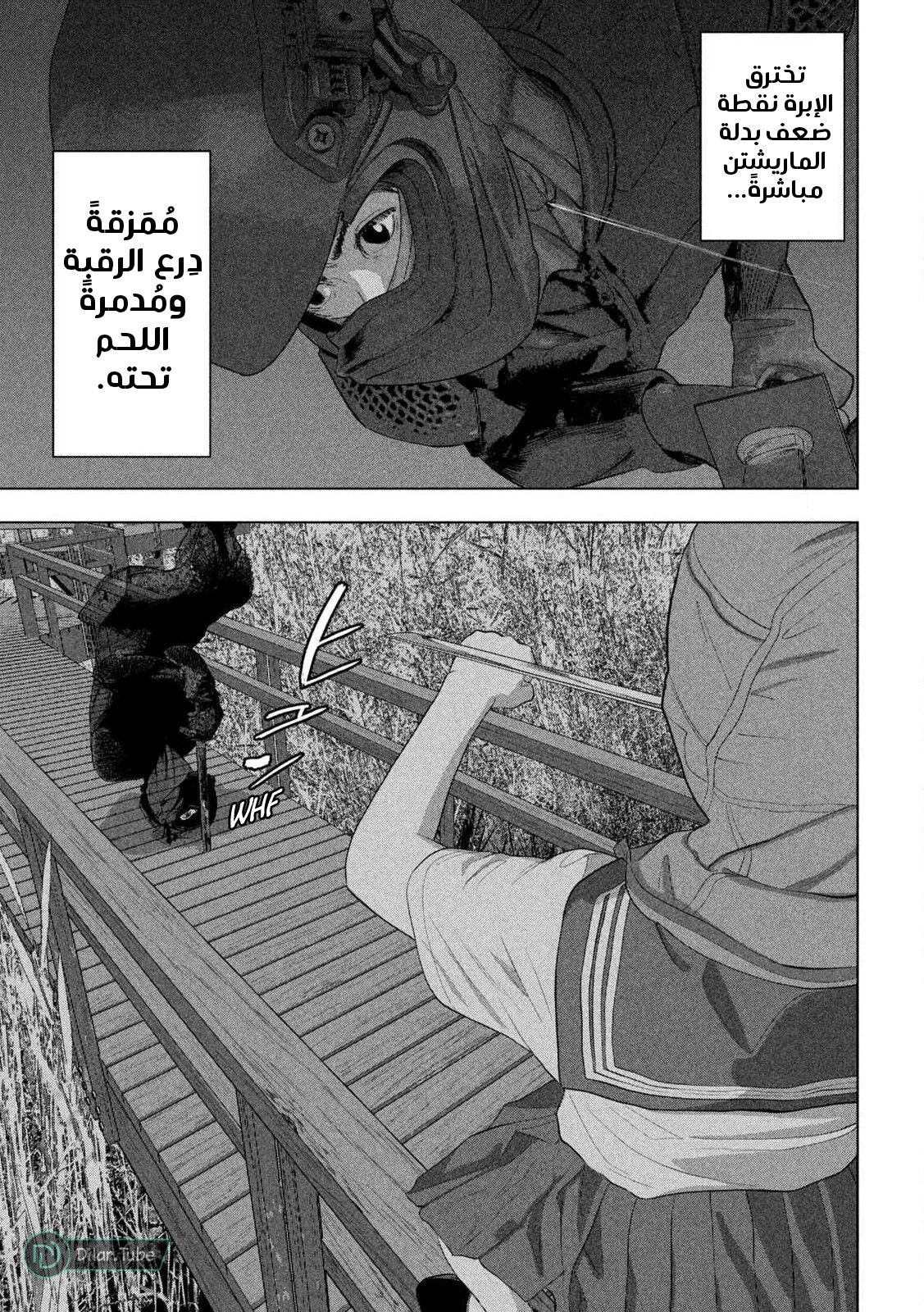 الصفحة 12