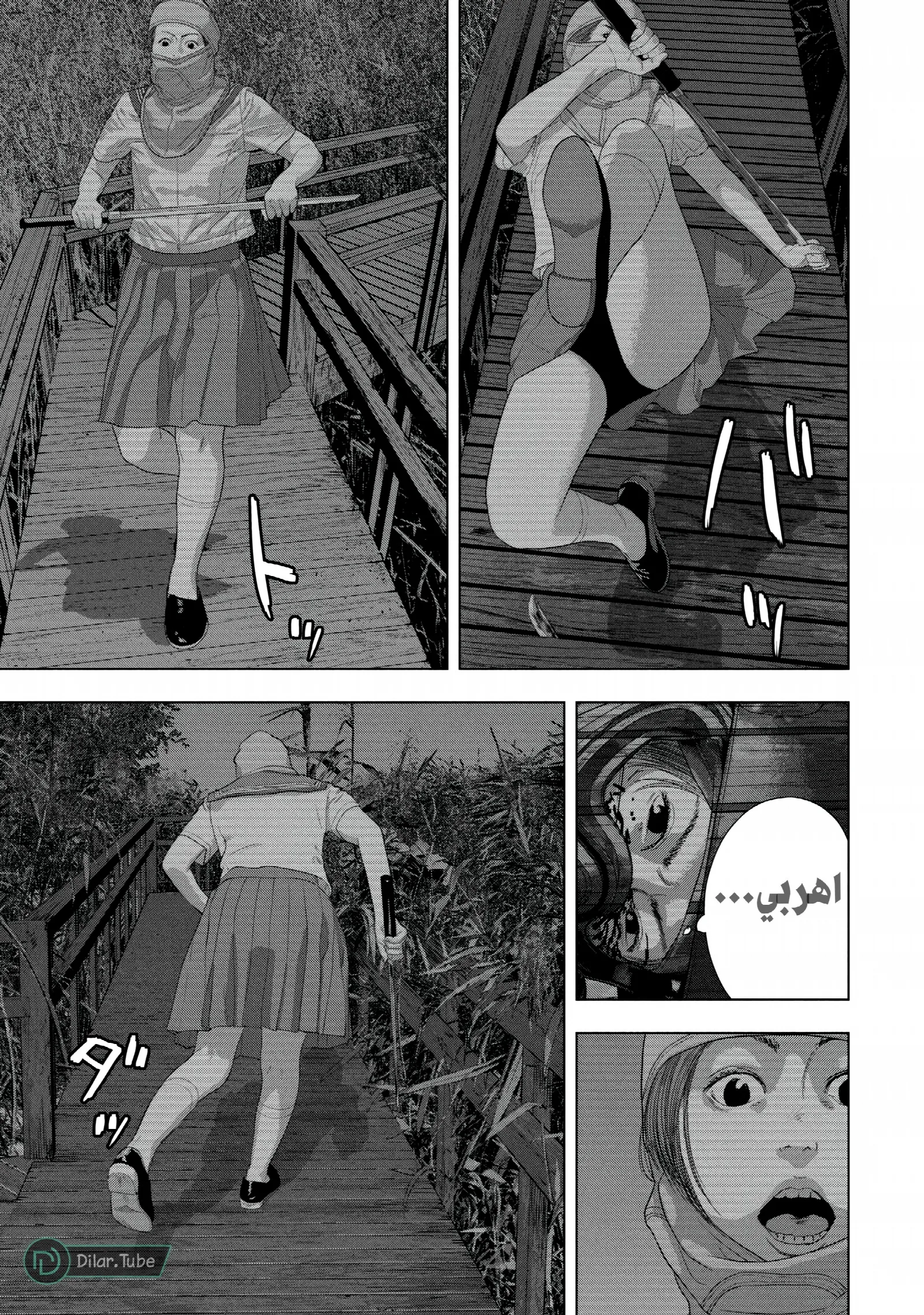 الصفحة 18