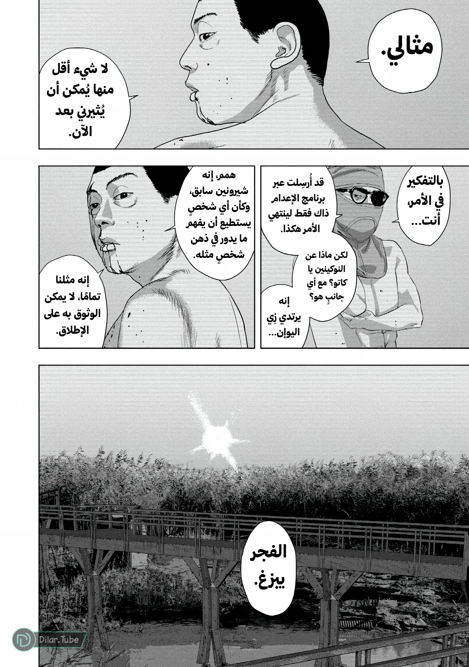 الصفحة 14