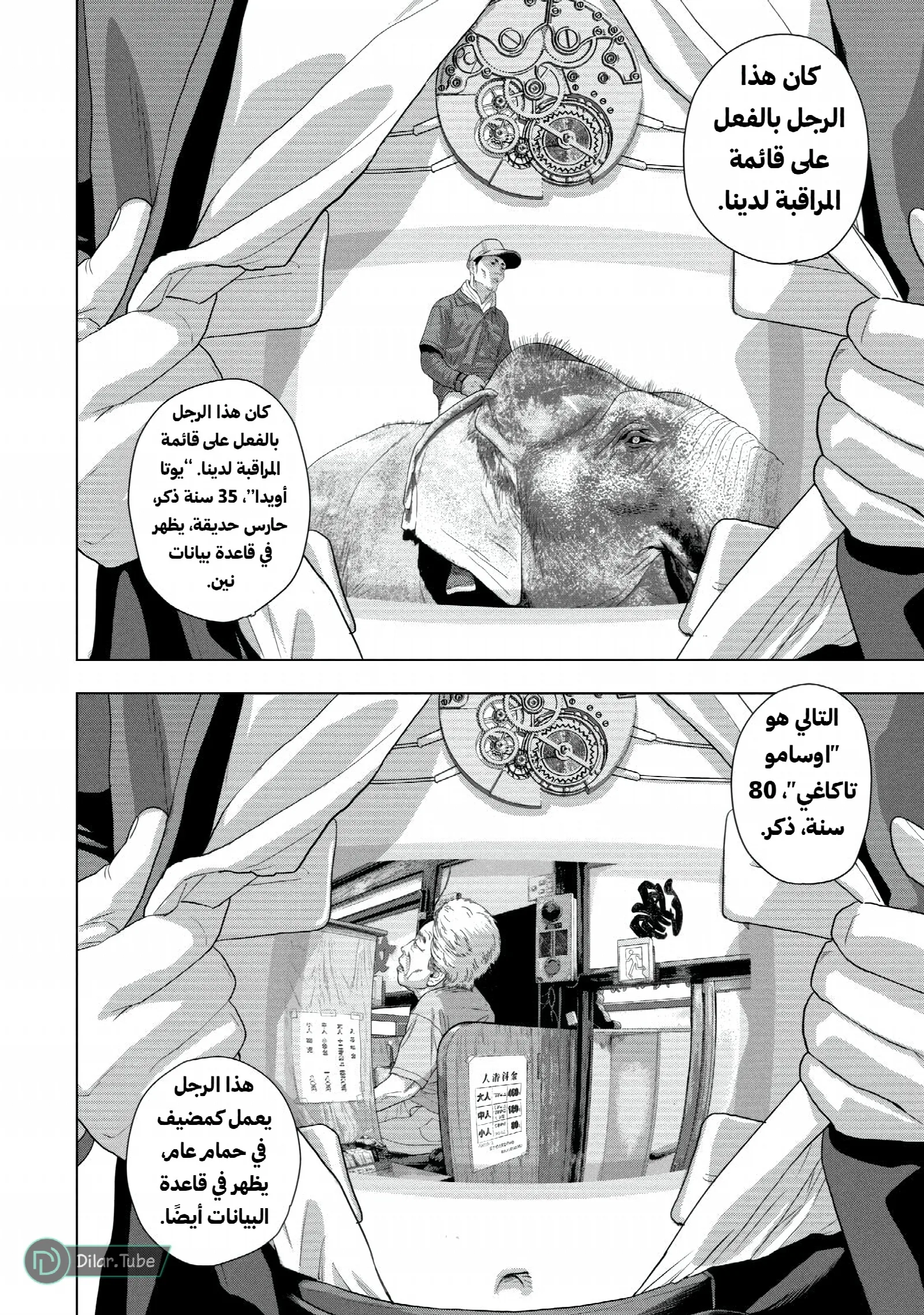 الصفحة 11