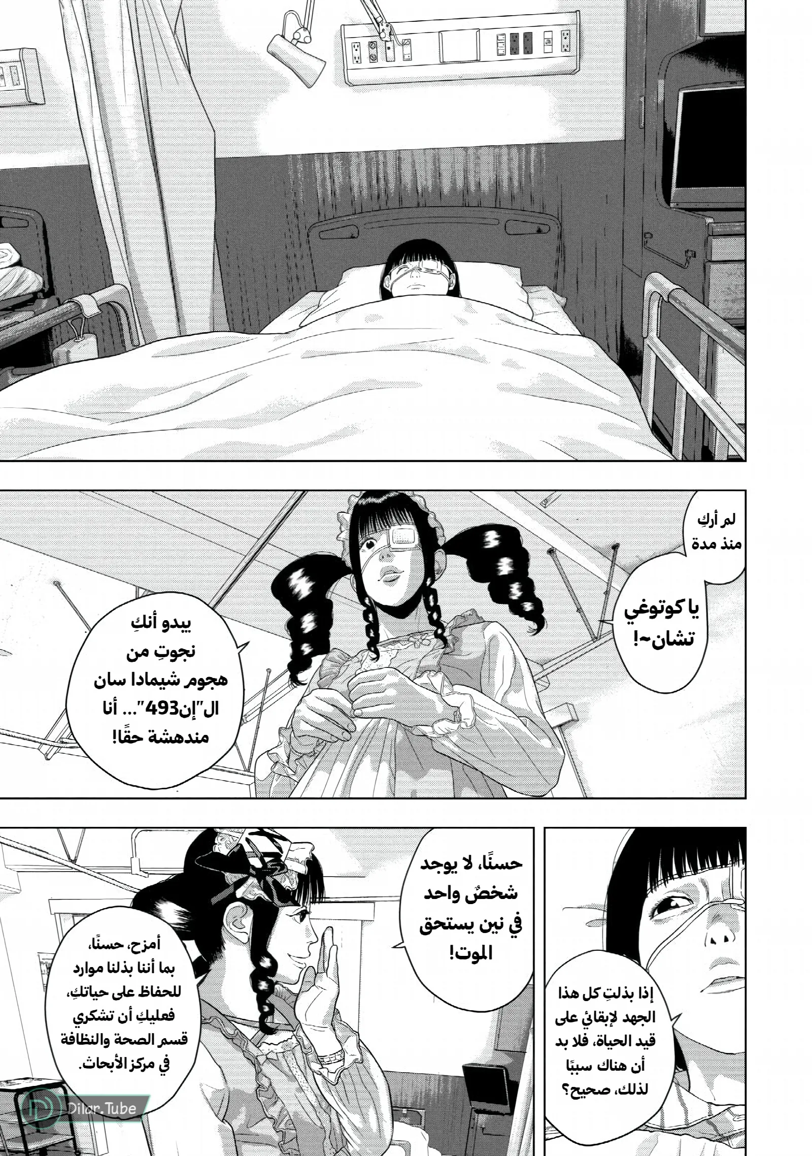 الصفحة 13